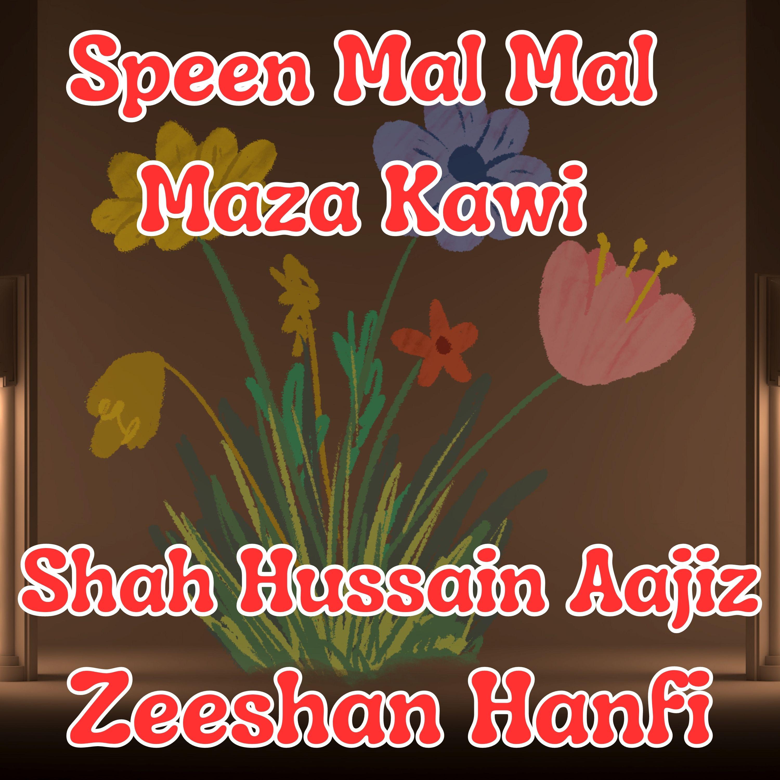Постер альбома Speen Mal Mal Maza Kawi