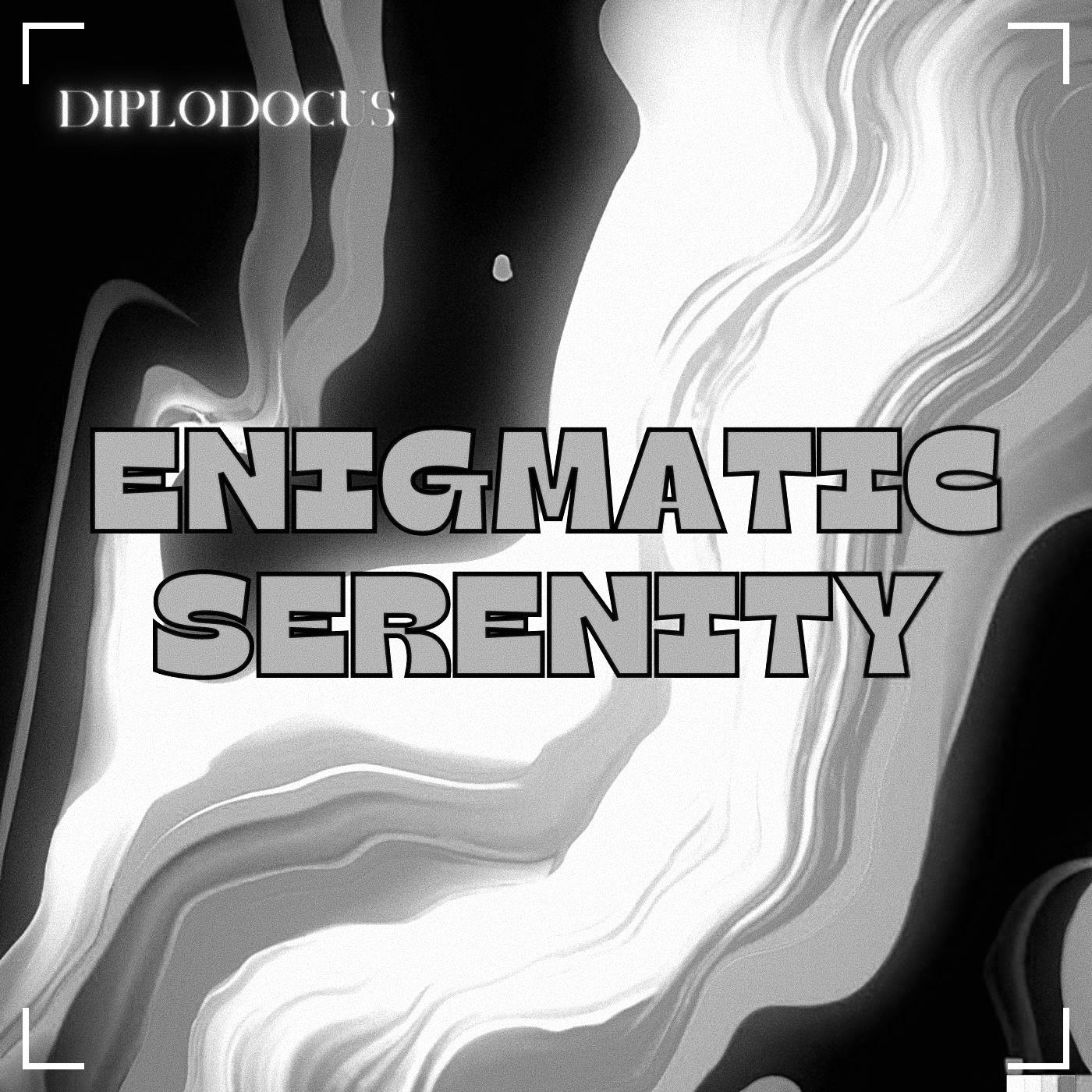 Постер альбома Enigmatic Serenity