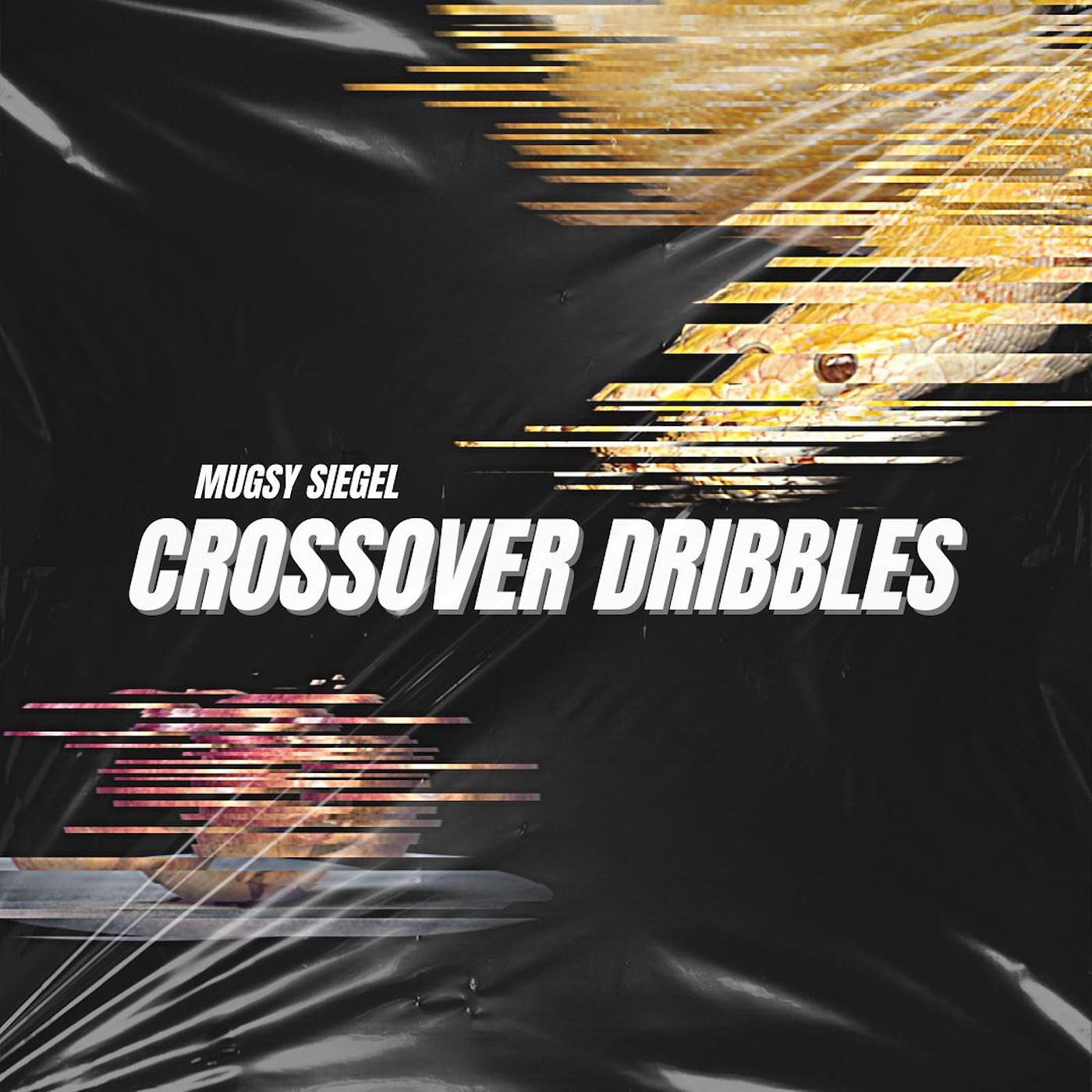 Постер альбома Crossover Dribbles