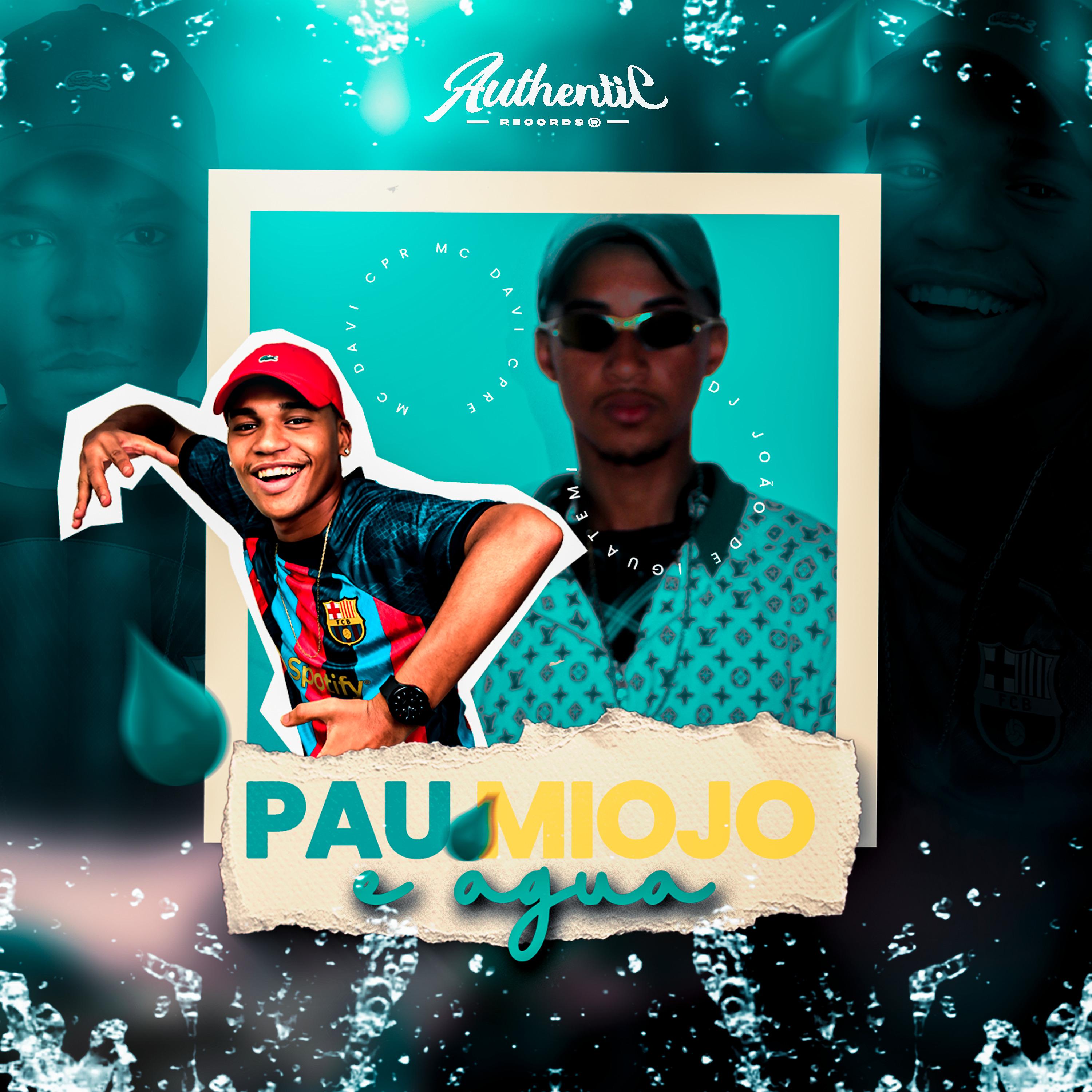 Постер альбома Pau, Miojo e Água