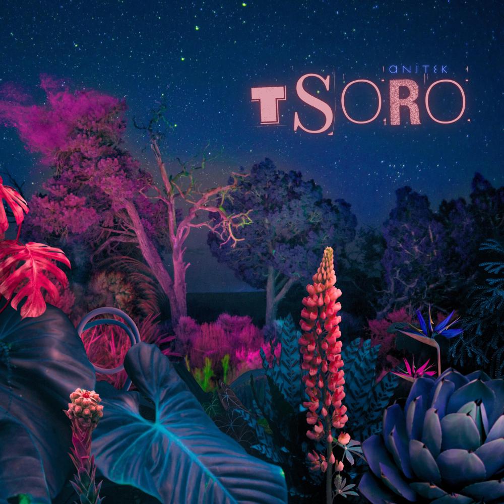 Постер альбома Tsoro