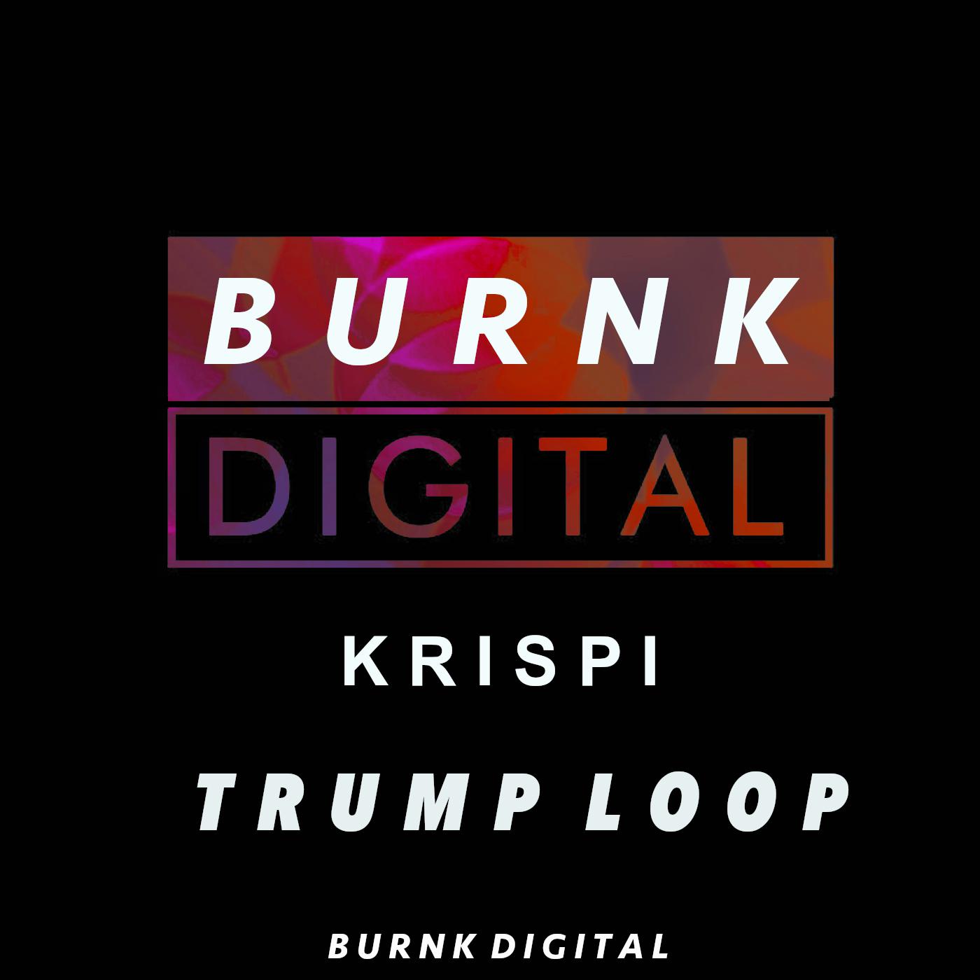 Постер альбома TrumpLoop