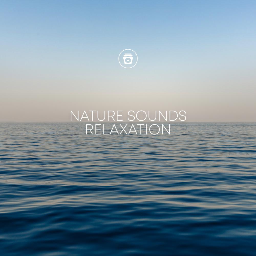 Постер альбома Nature Sounds Relaxation