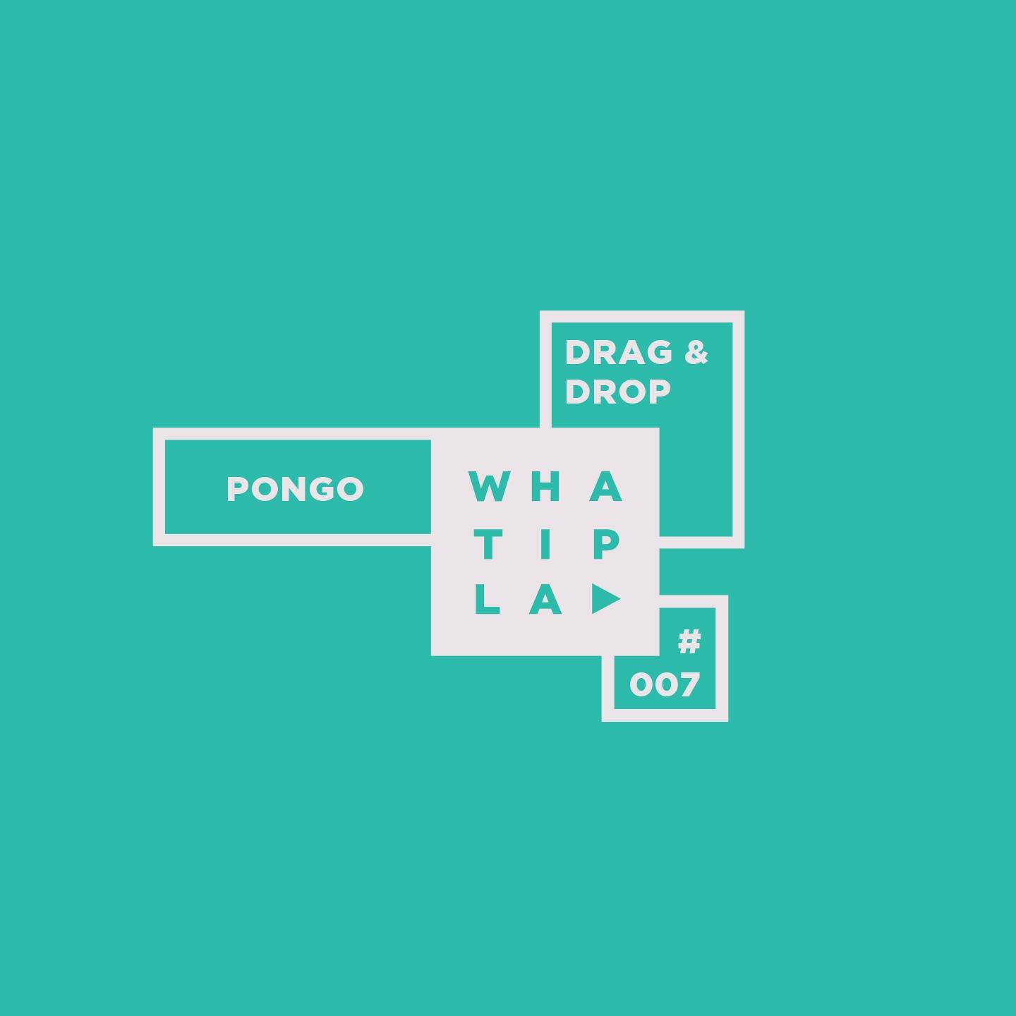 Постер альбома Pongo