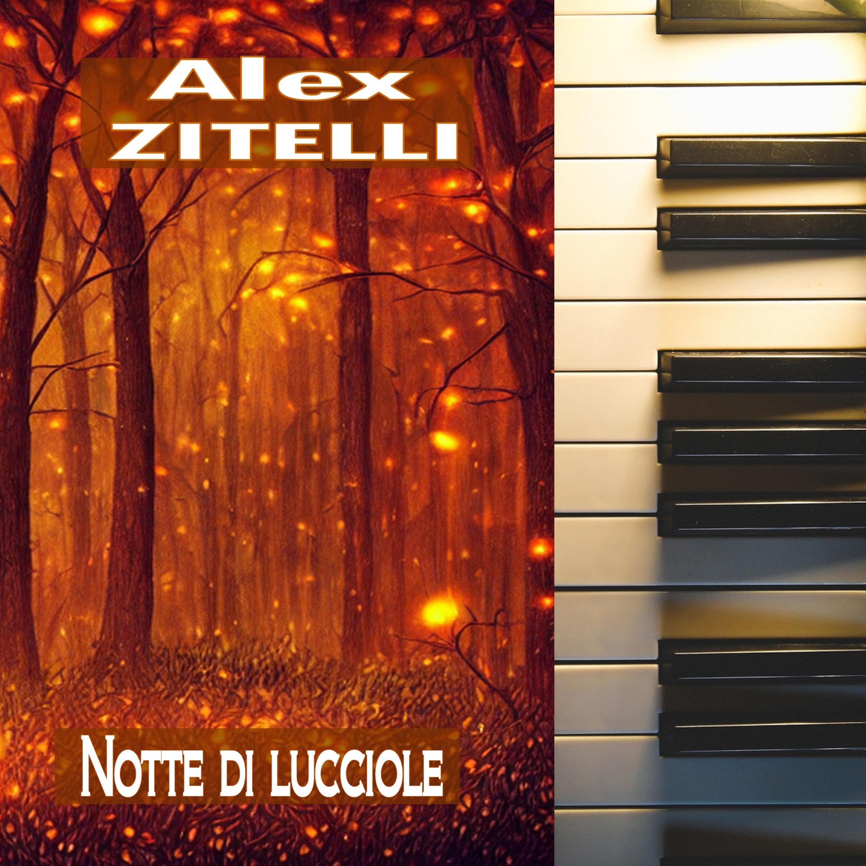 Постер альбома Notte di lucciole