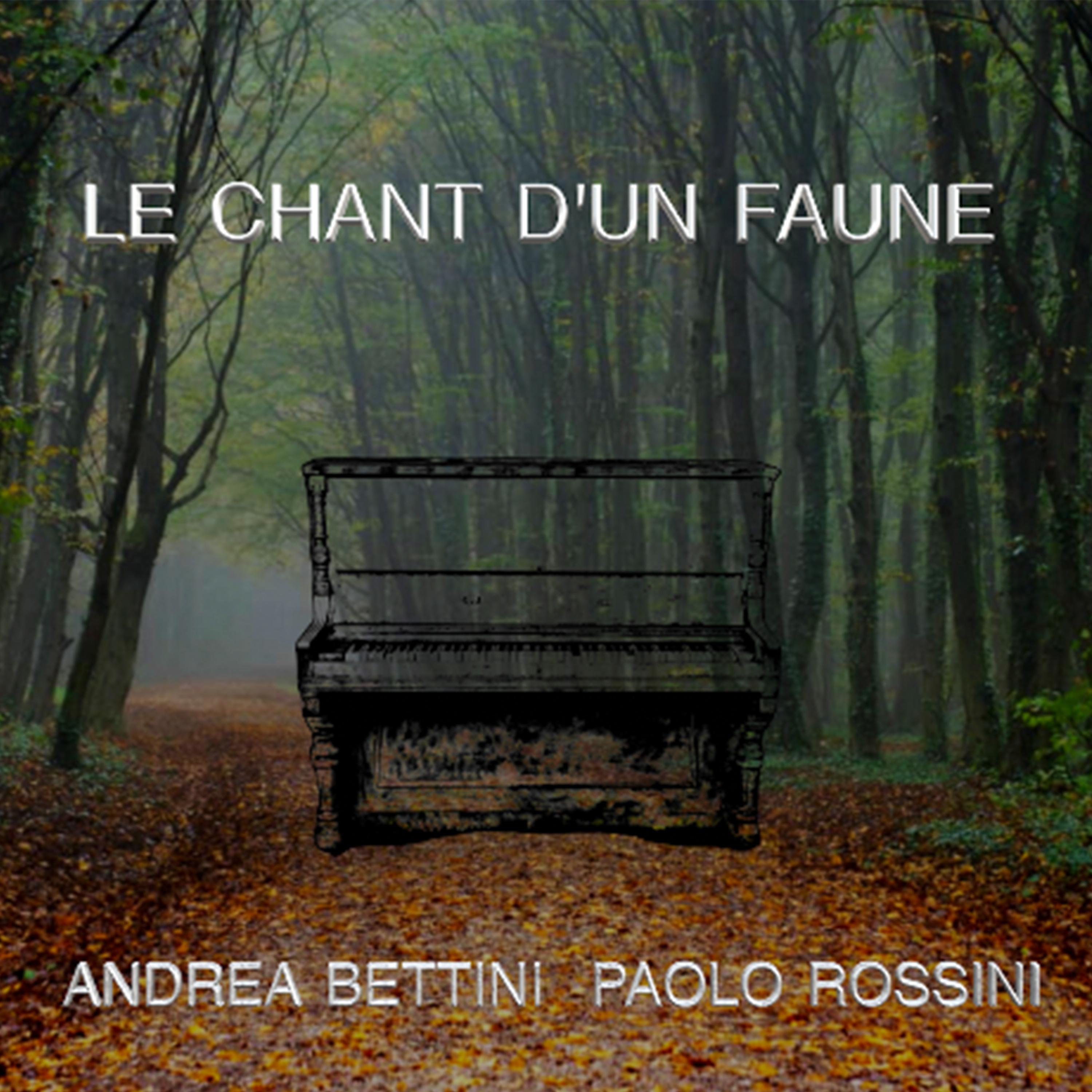 Постер альбома Le Chant d'un Faune