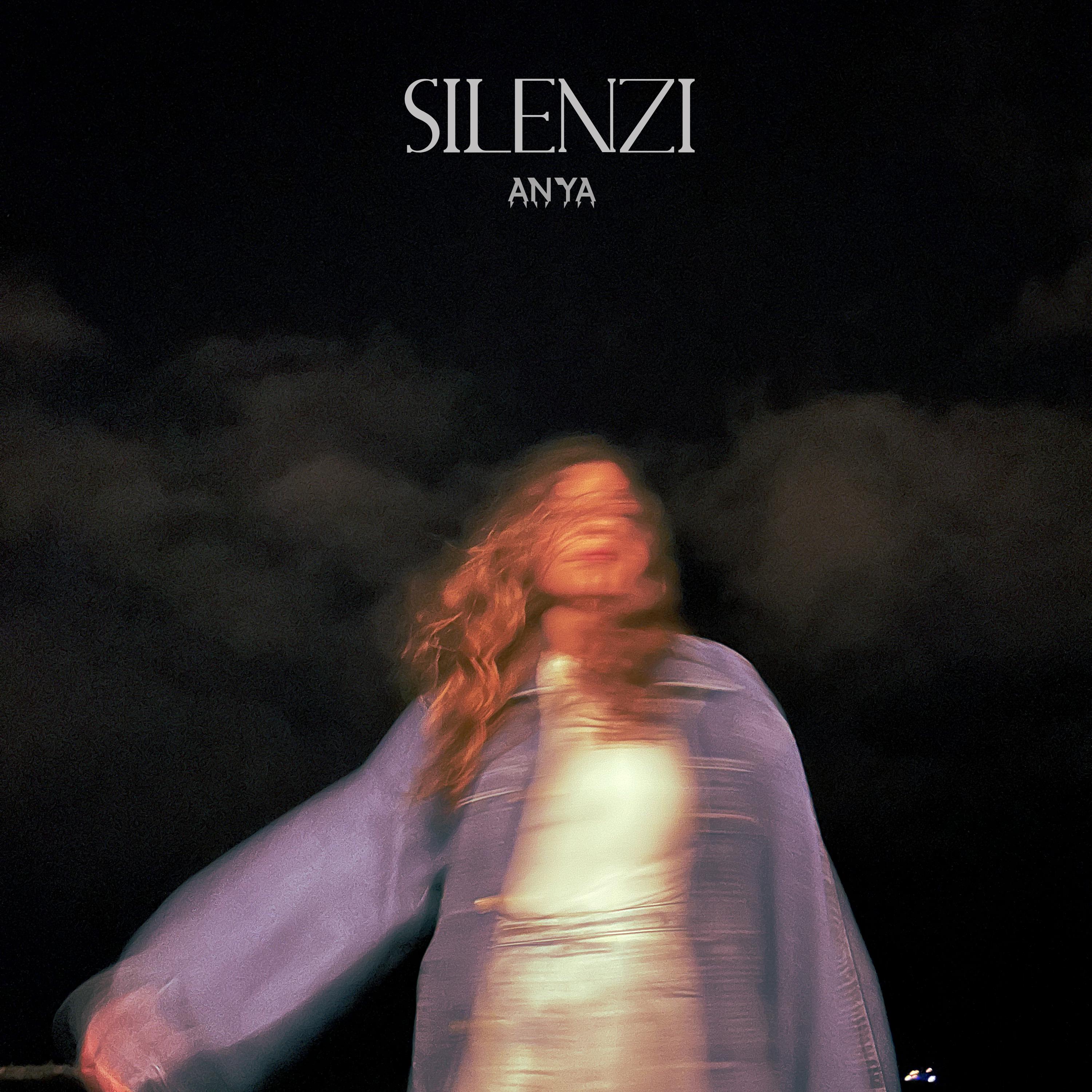 Постер альбома Silenzi