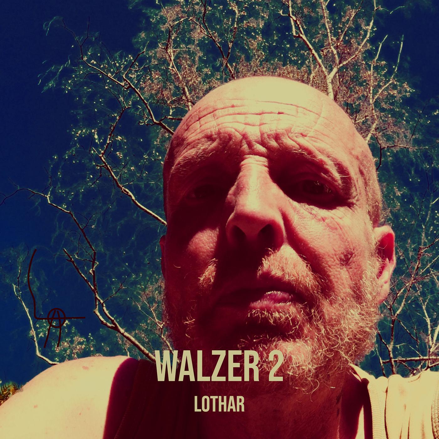 Постер альбома Walzer 2
