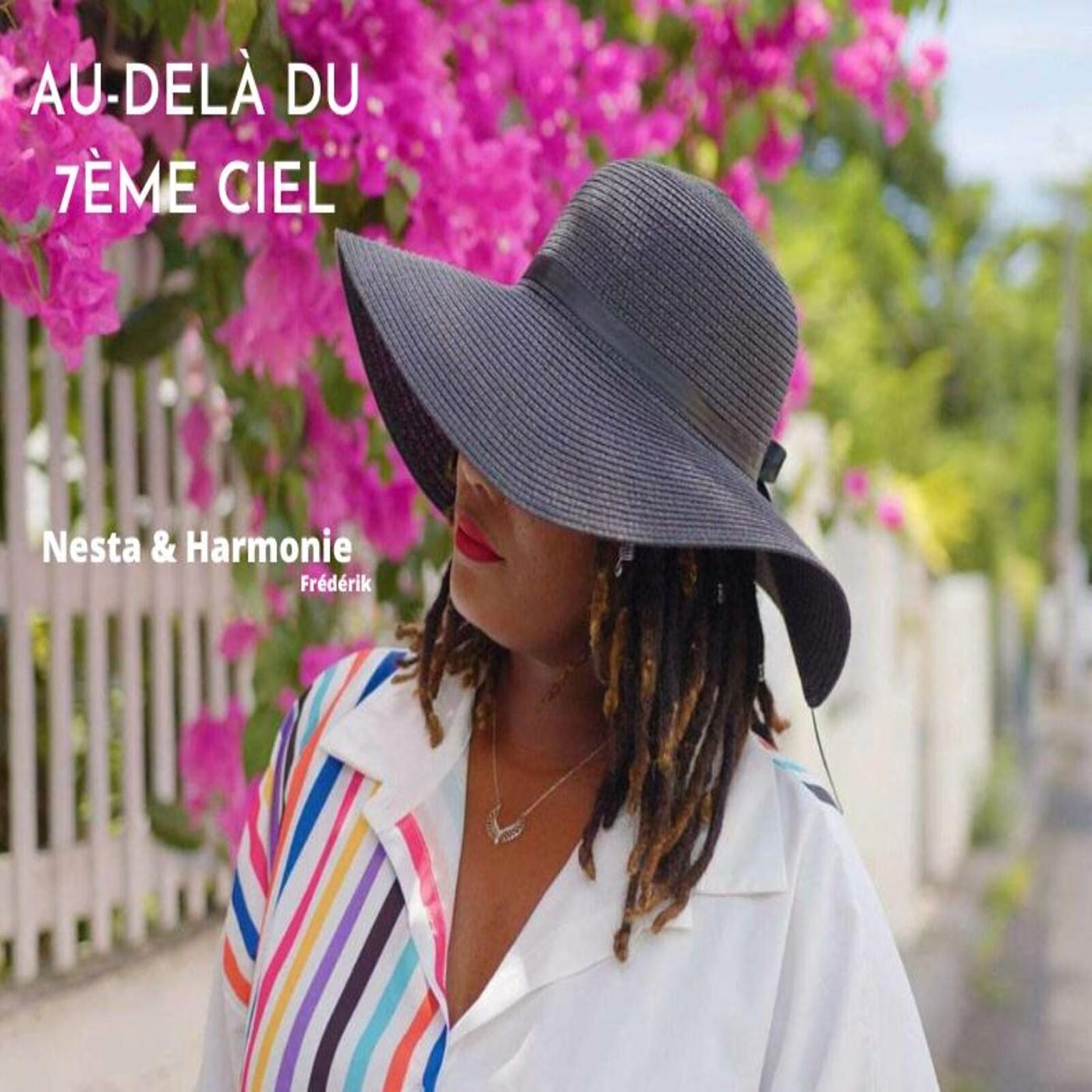Постер альбома AU-DELÀ DU 7ÈME CIEL