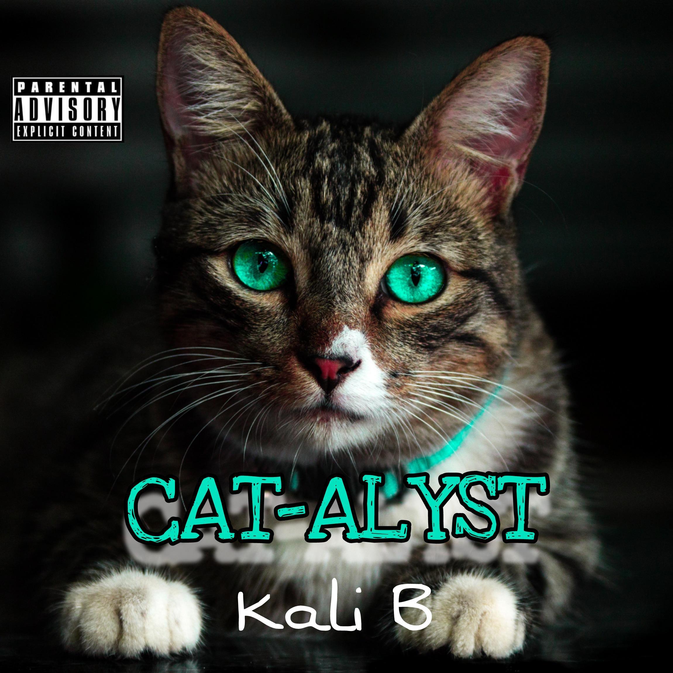 Постер альбома CAT-ALYST