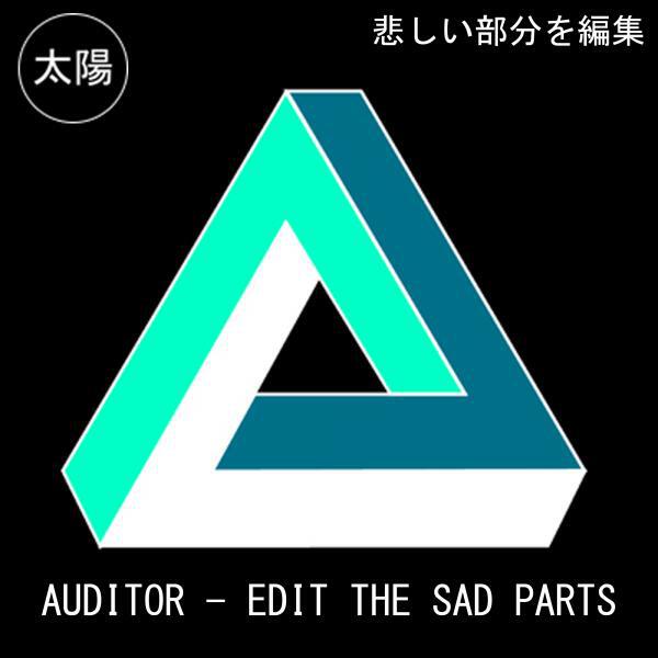 Auditor - Hollowgram (Original Mix)