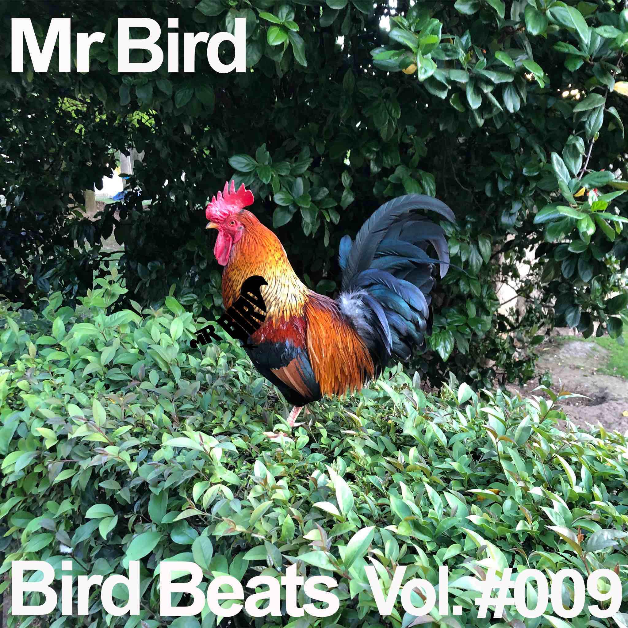 Постер альбома Bird Beats #009