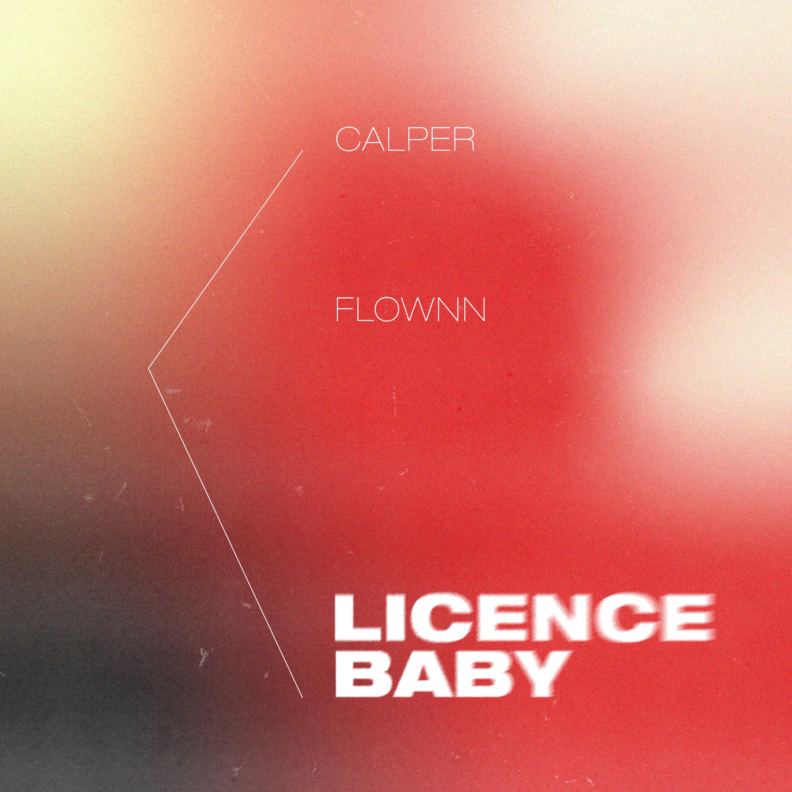 Постер альбома Licence Baby