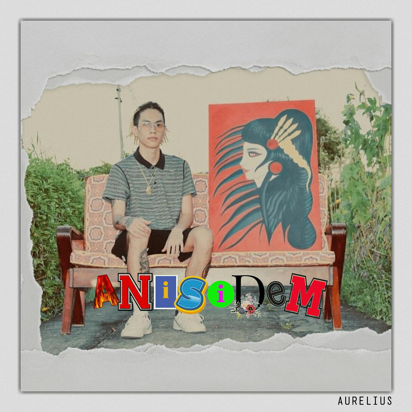 Постер альбома Anisidem