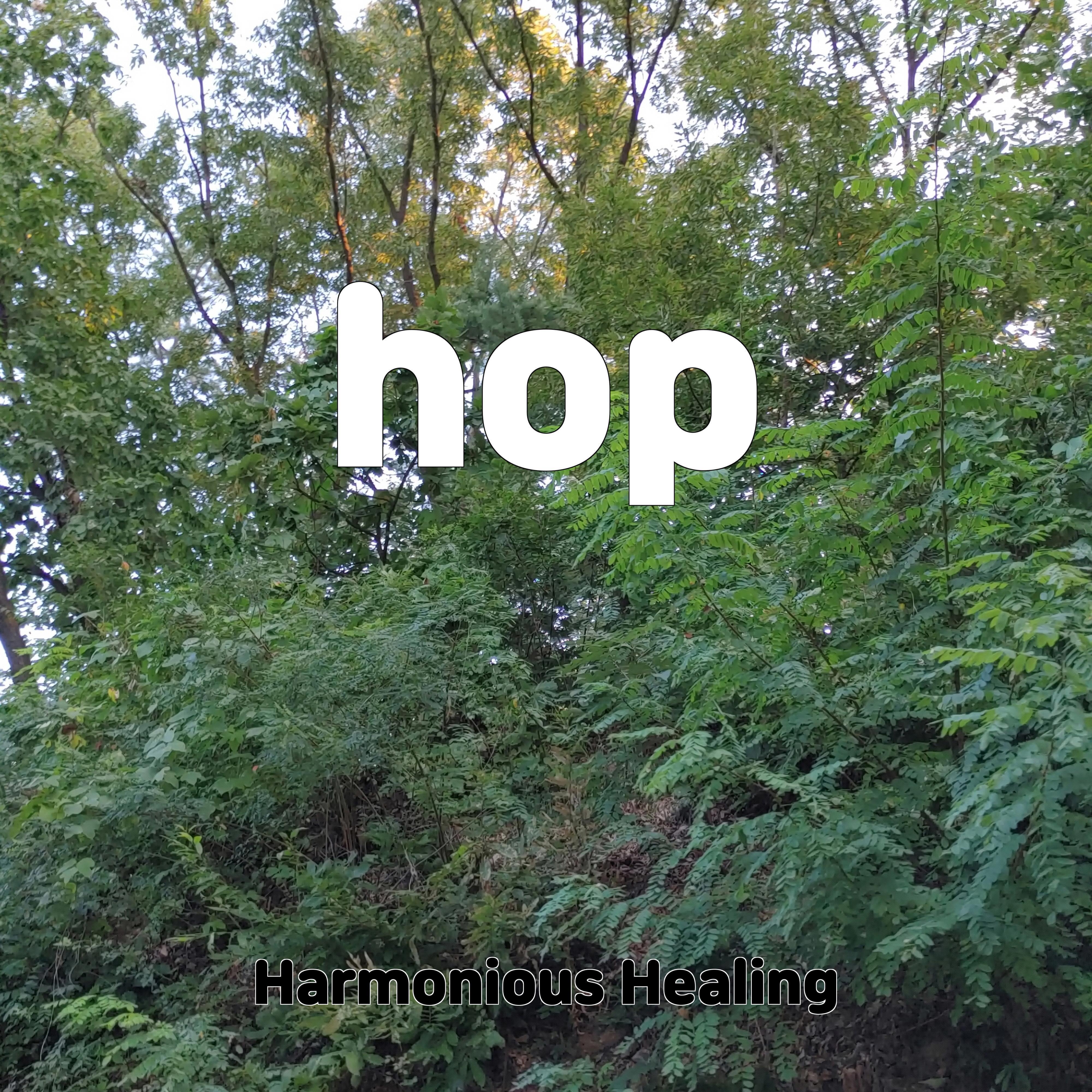 Постер альбома hop