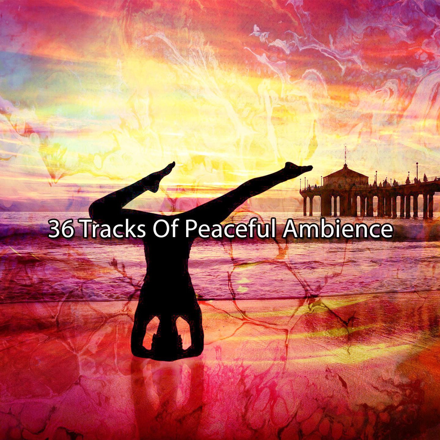 Постер альбома 36 Tracks Of Peaceful Ambience