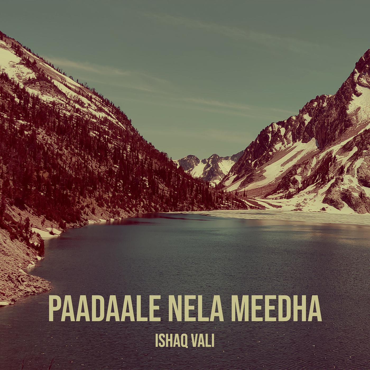 Постер альбома Paadaale Nela Meedha