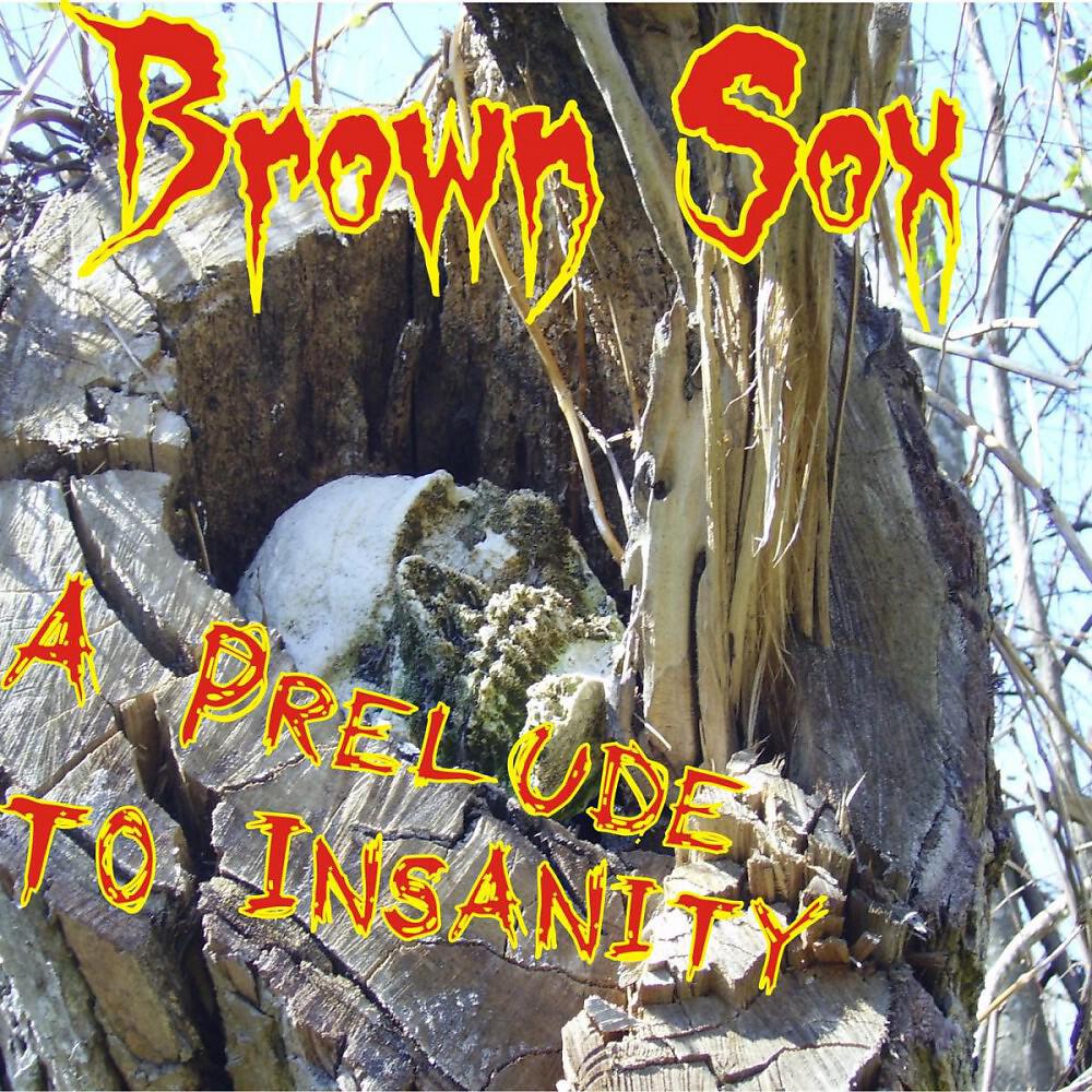 Brown Sox - The Know