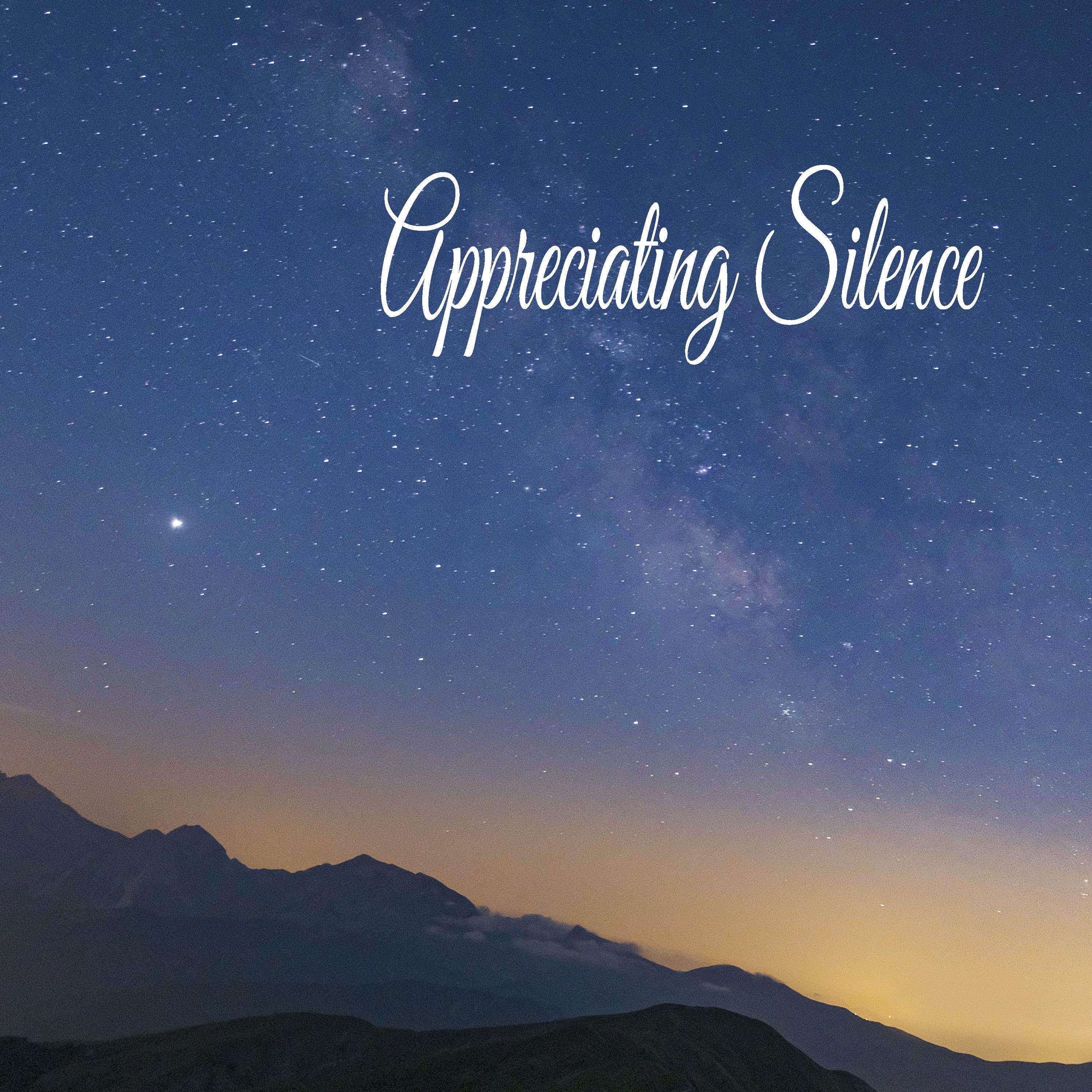 Постер альбома Appreciating Silence