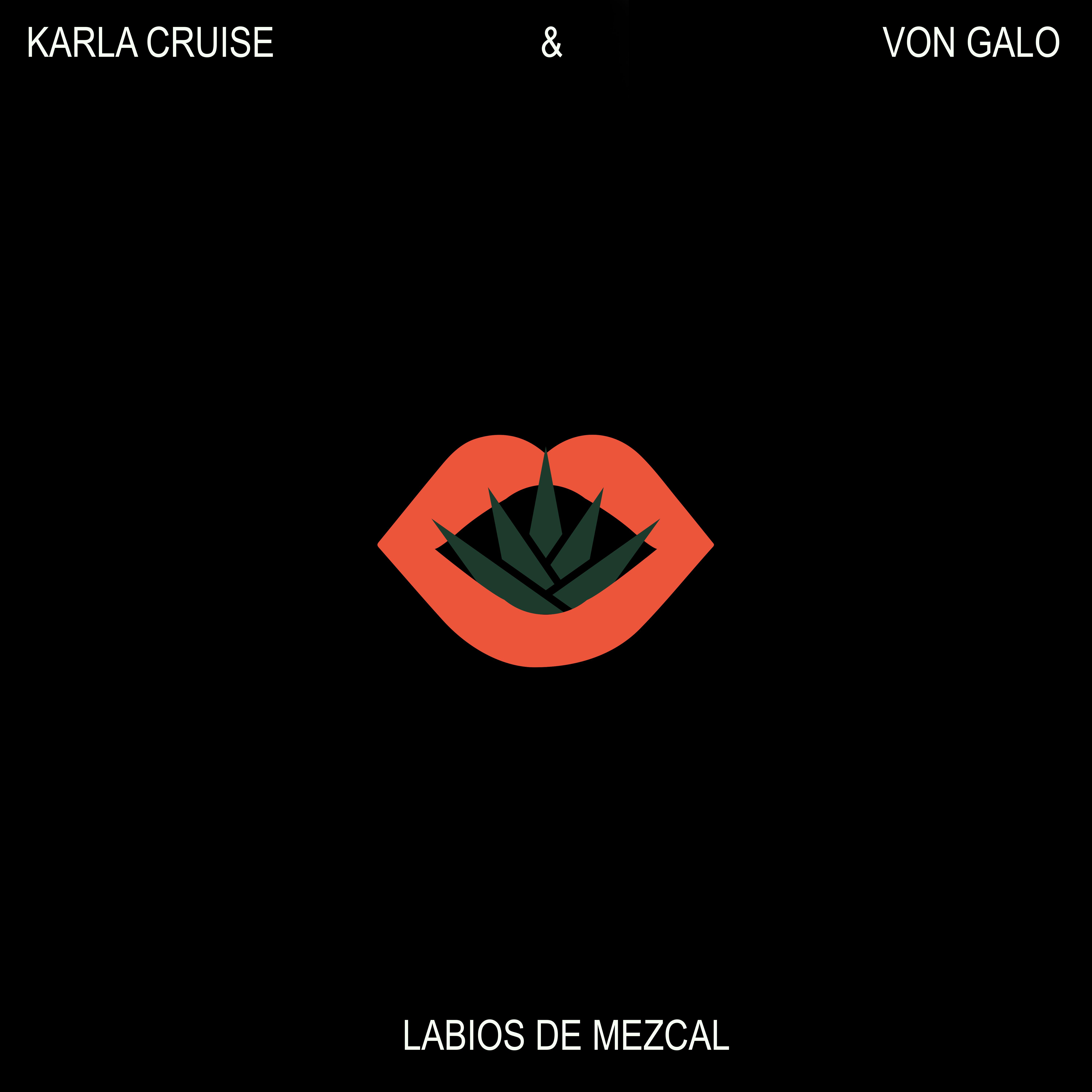 Постер альбома Labios de Mezcal