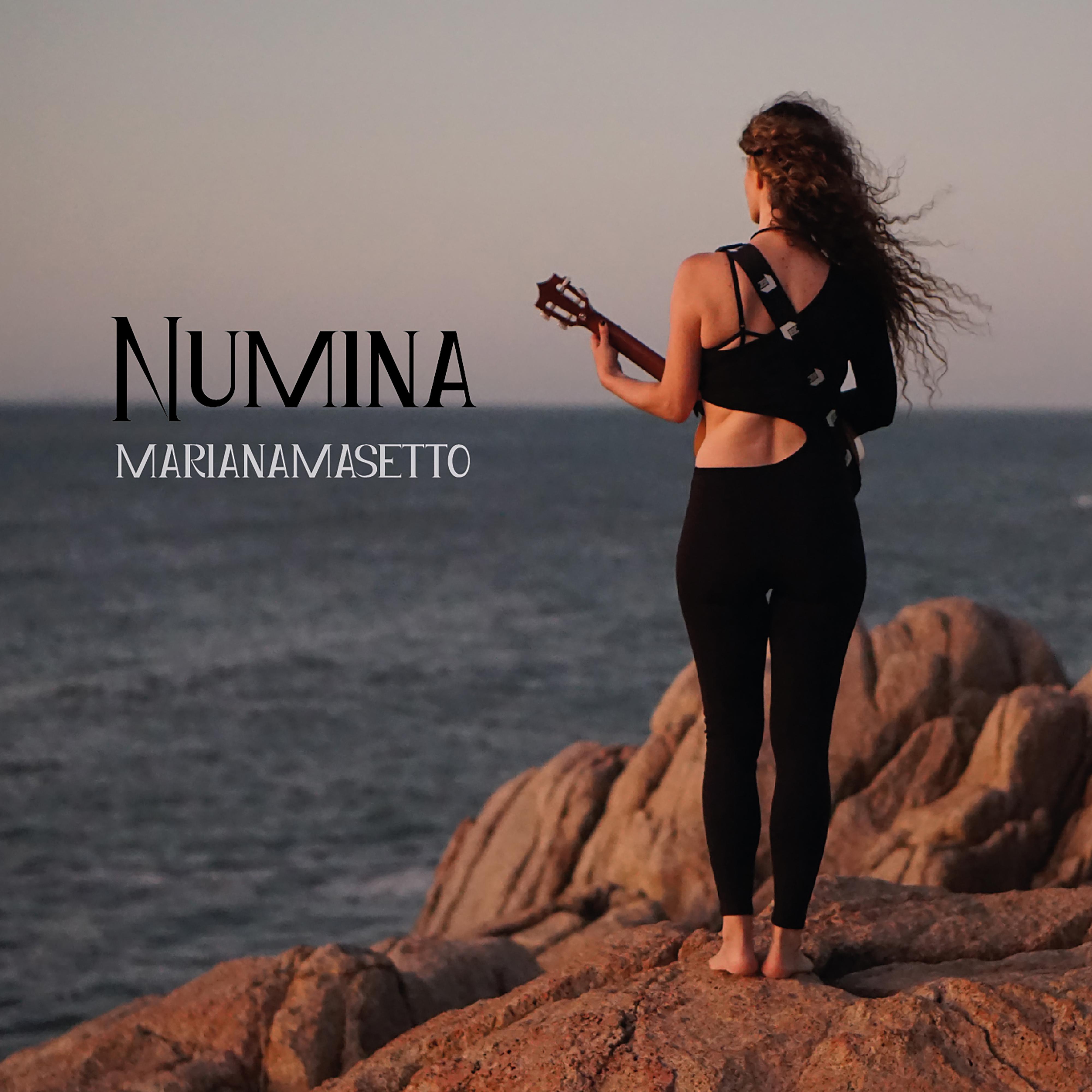 Постер альбома Numina