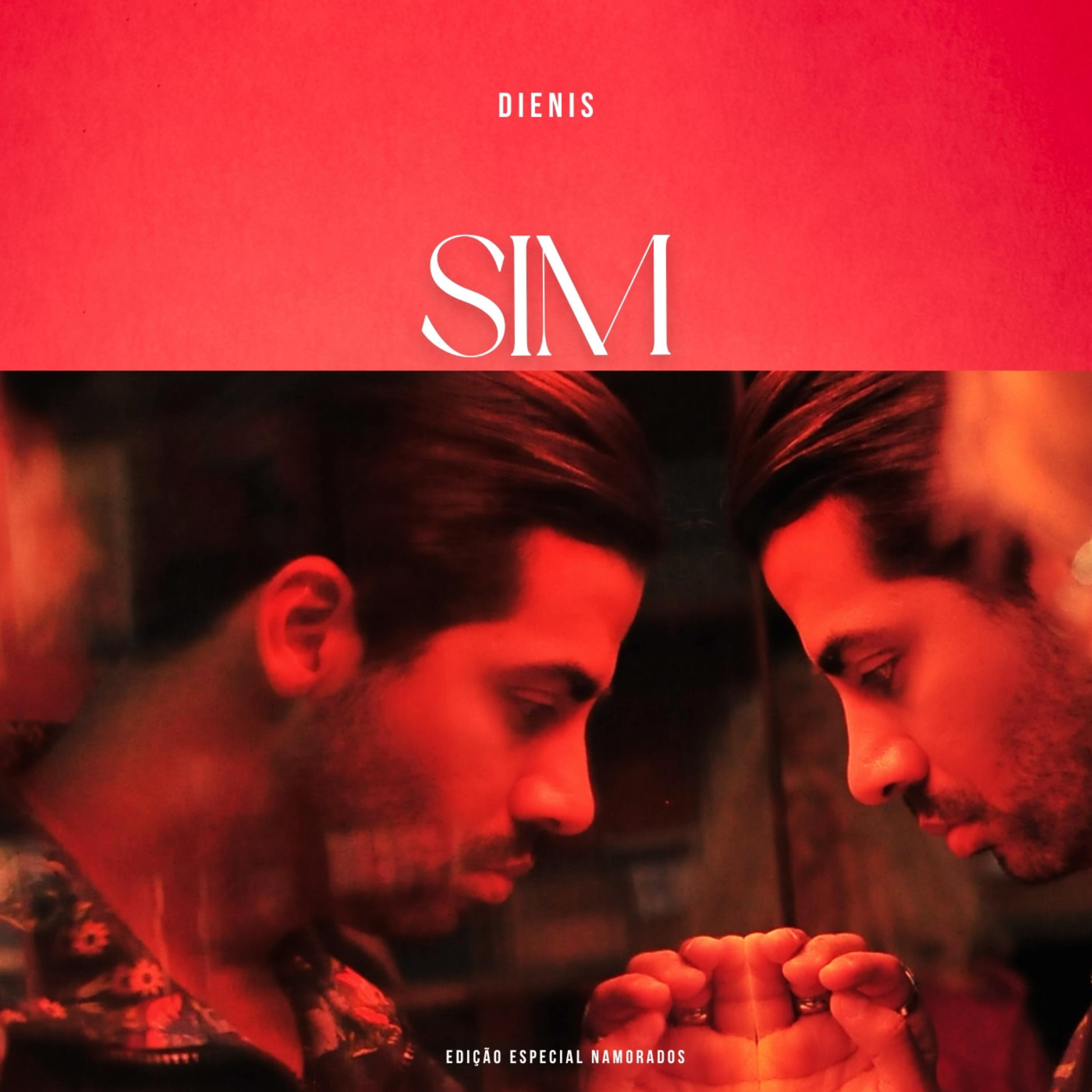 Постер альбома Sim