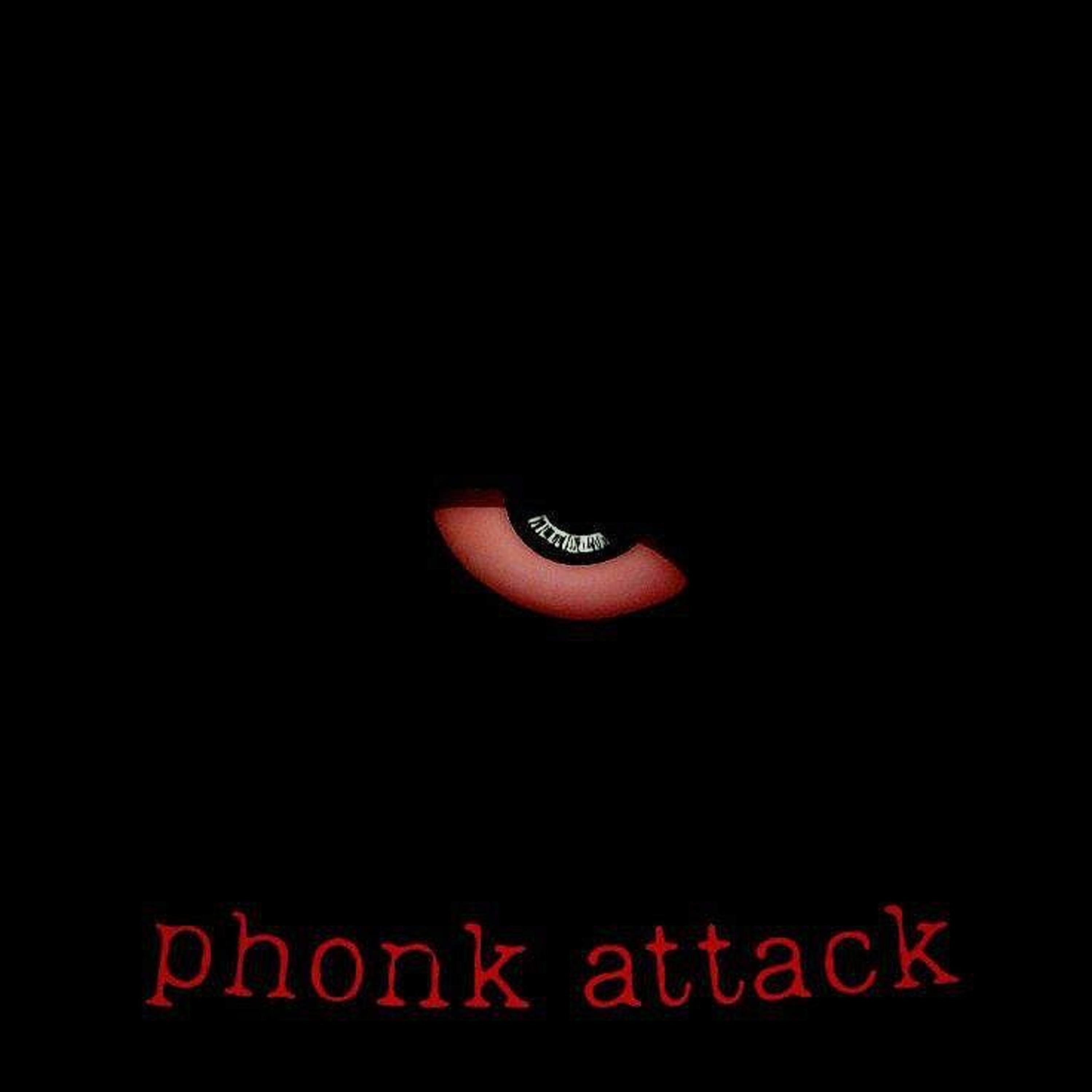 Постер альбома phonk attack