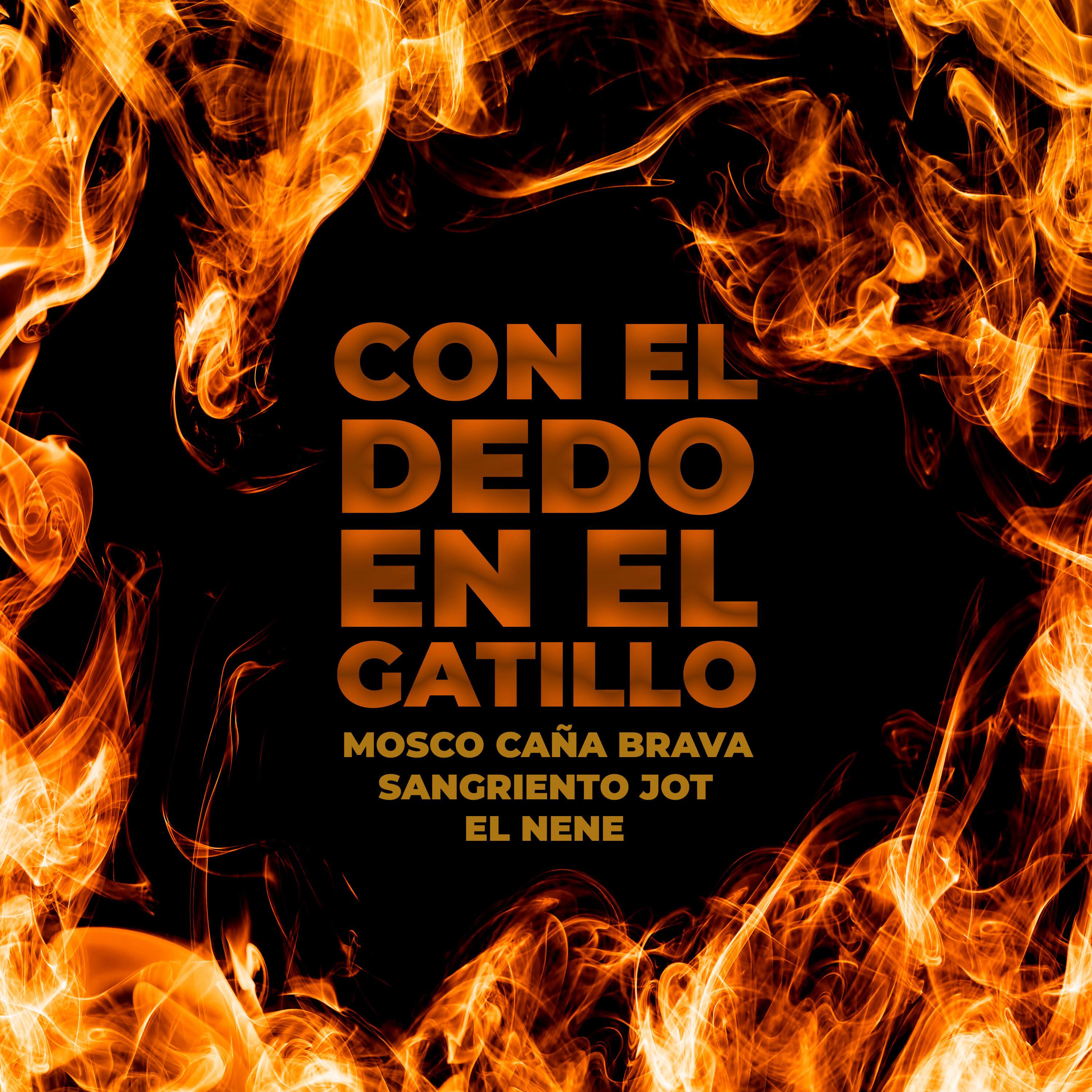 Постер альбома Con el Dedo en el Gatillo