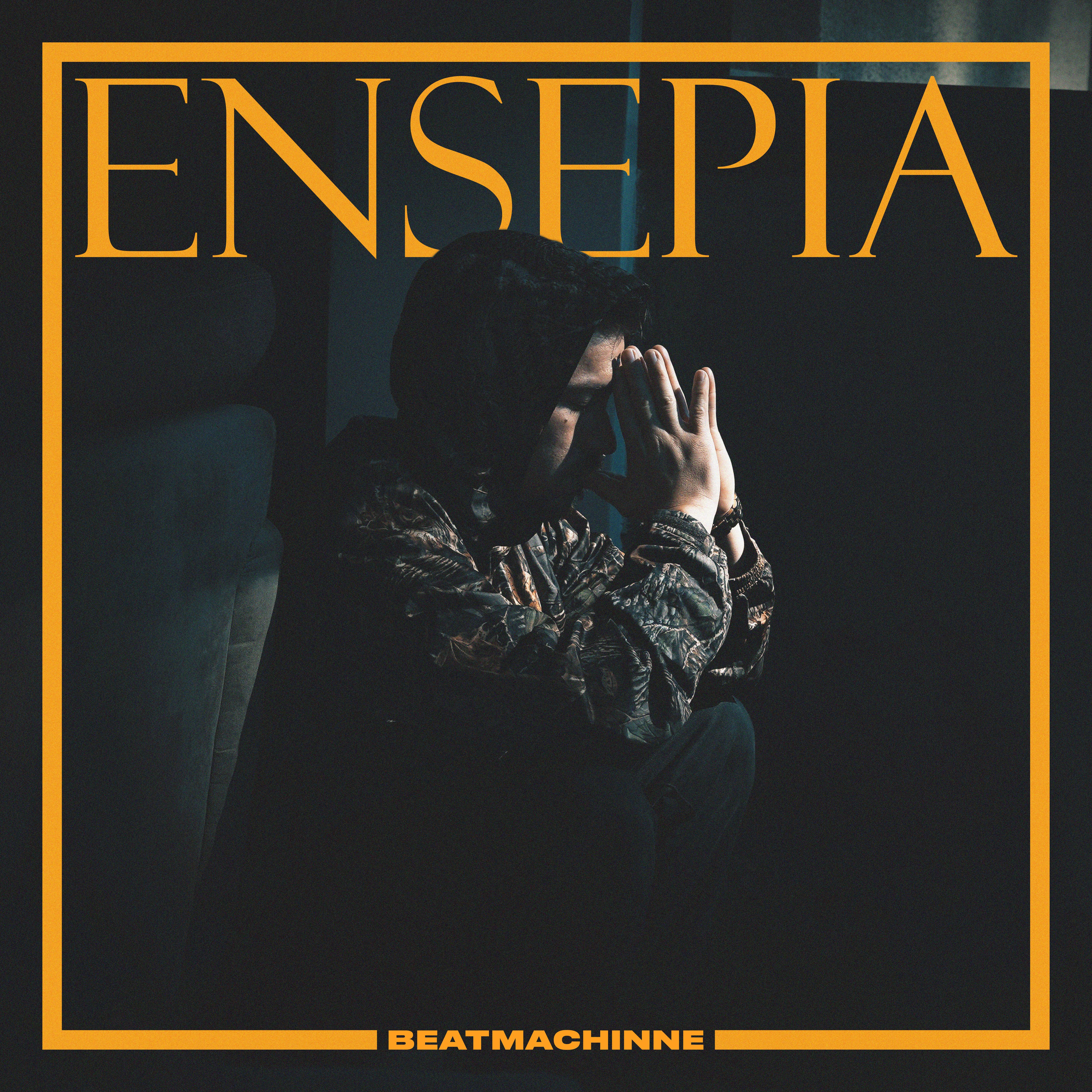 Постер альбома Ensepia