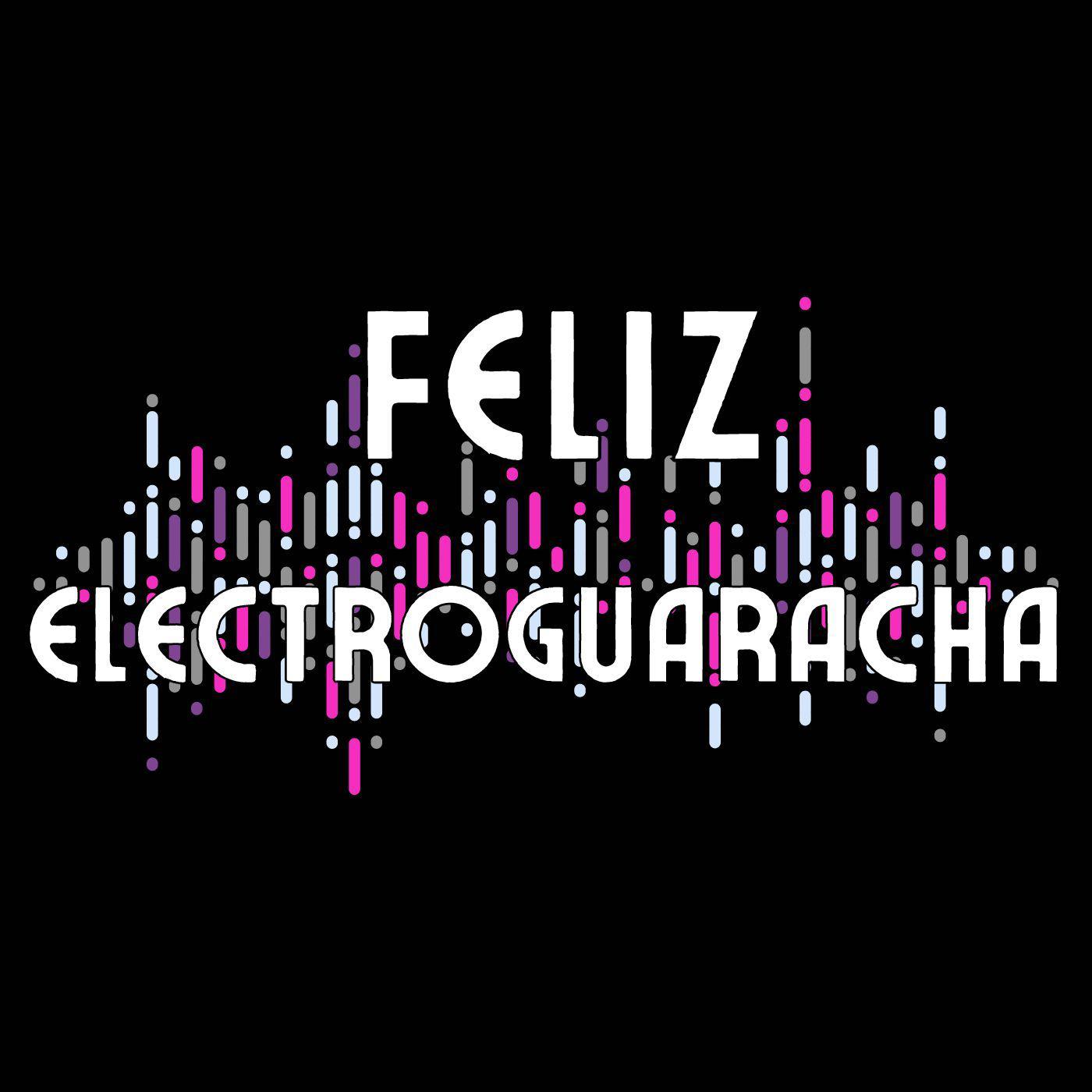 Постер альбома Feliz Electroguaracha