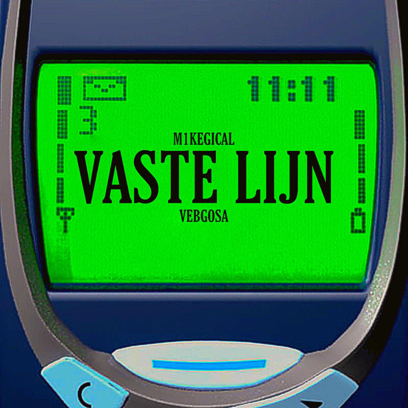 Постер альбома Vaste Lijn
