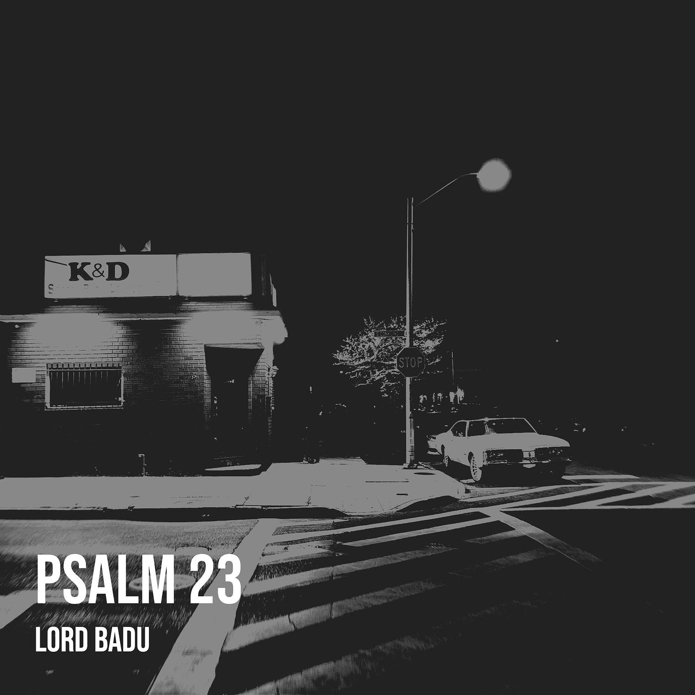 Постер альбома Psalm 23