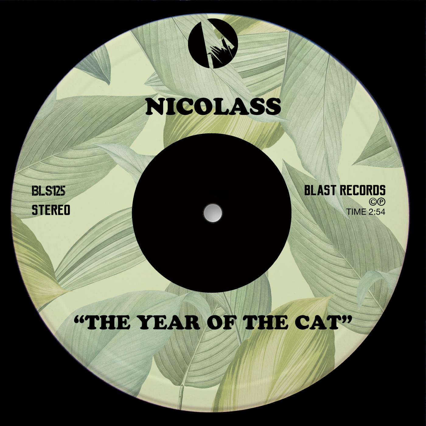Постер альбома The Year Of The Cat