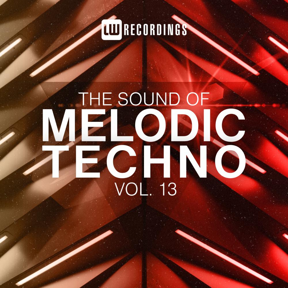 Постер альбома The Sound Of Melodic Techno, Vol. 13