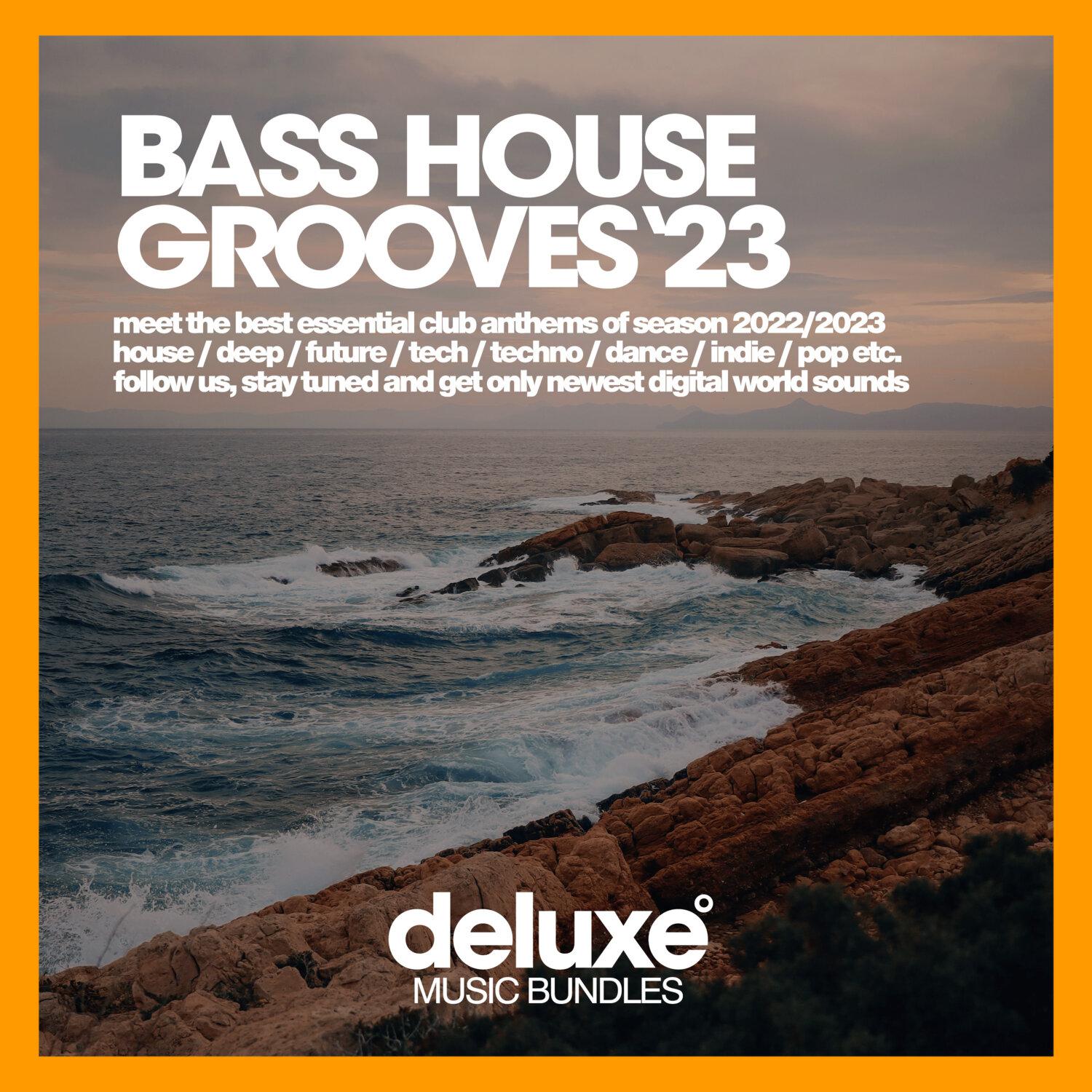 Постер альбома Bass House Grooves 2023