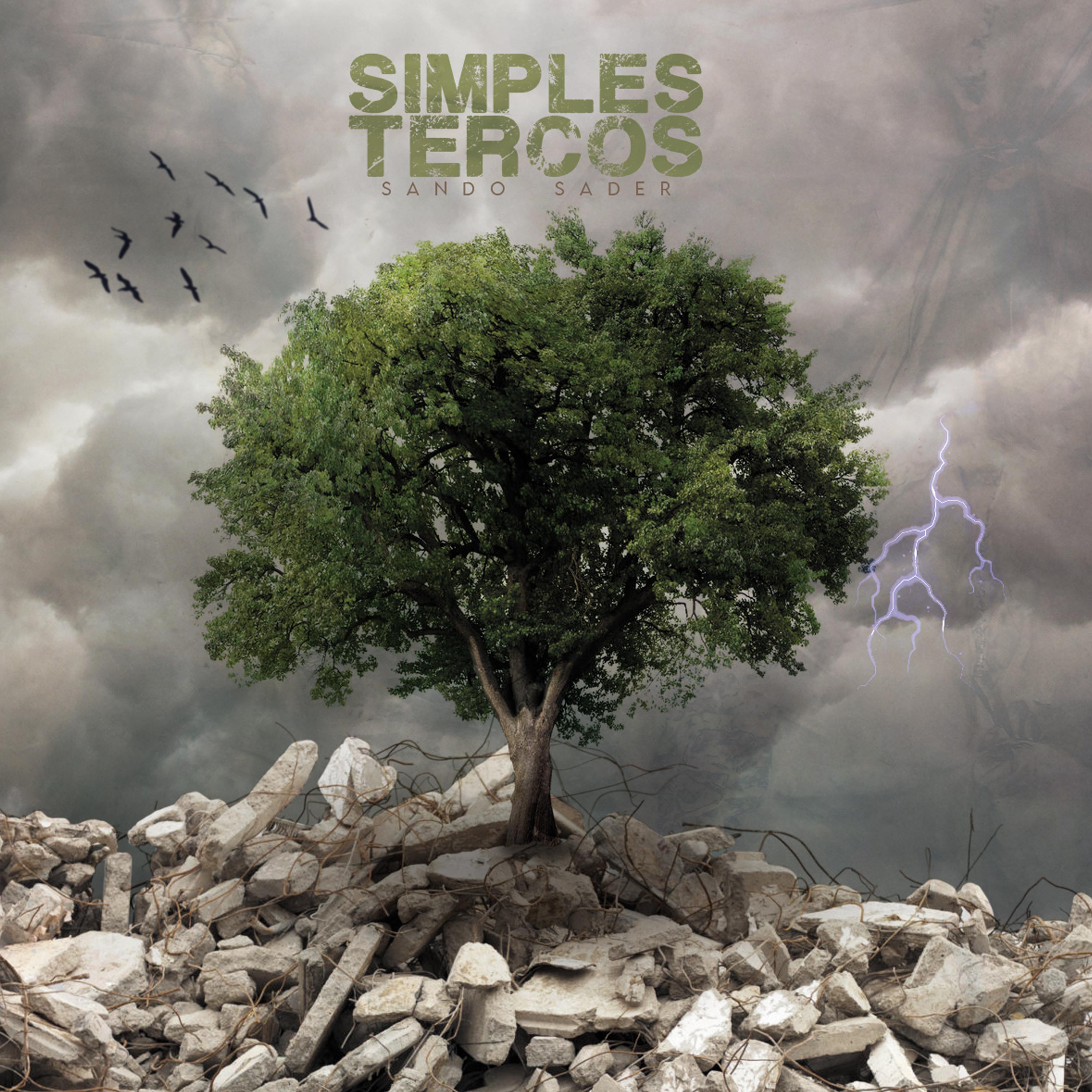 Постер альбома Simples Tercos