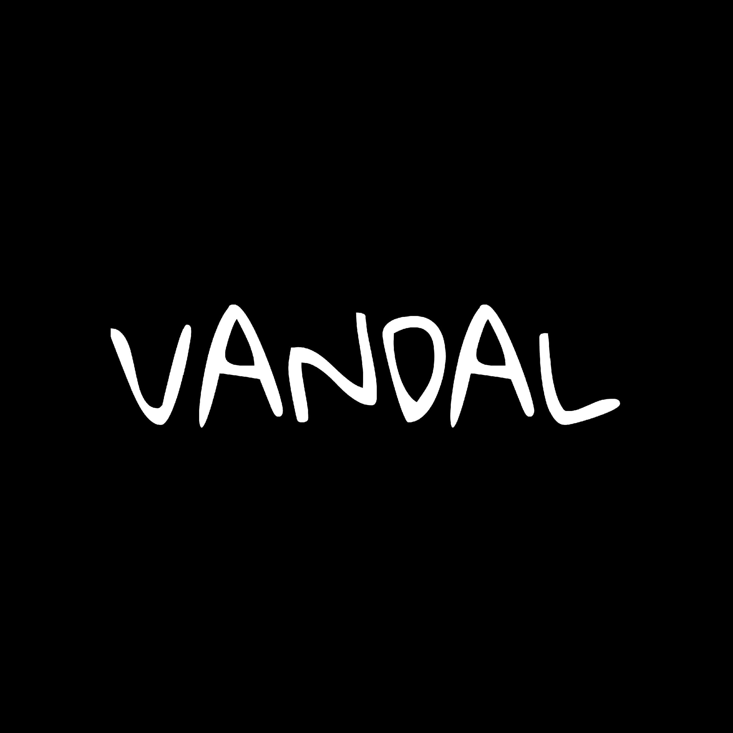 Постер альбома Vandal