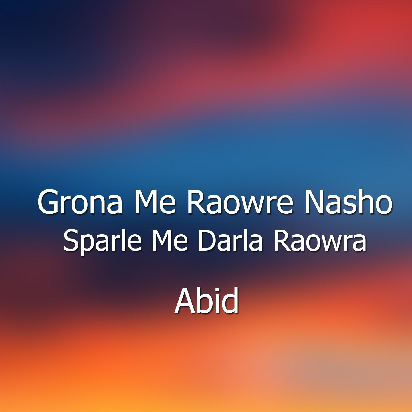 Постер альбома Grona Me Raowre Nasho Sparle Me Darla Raowra