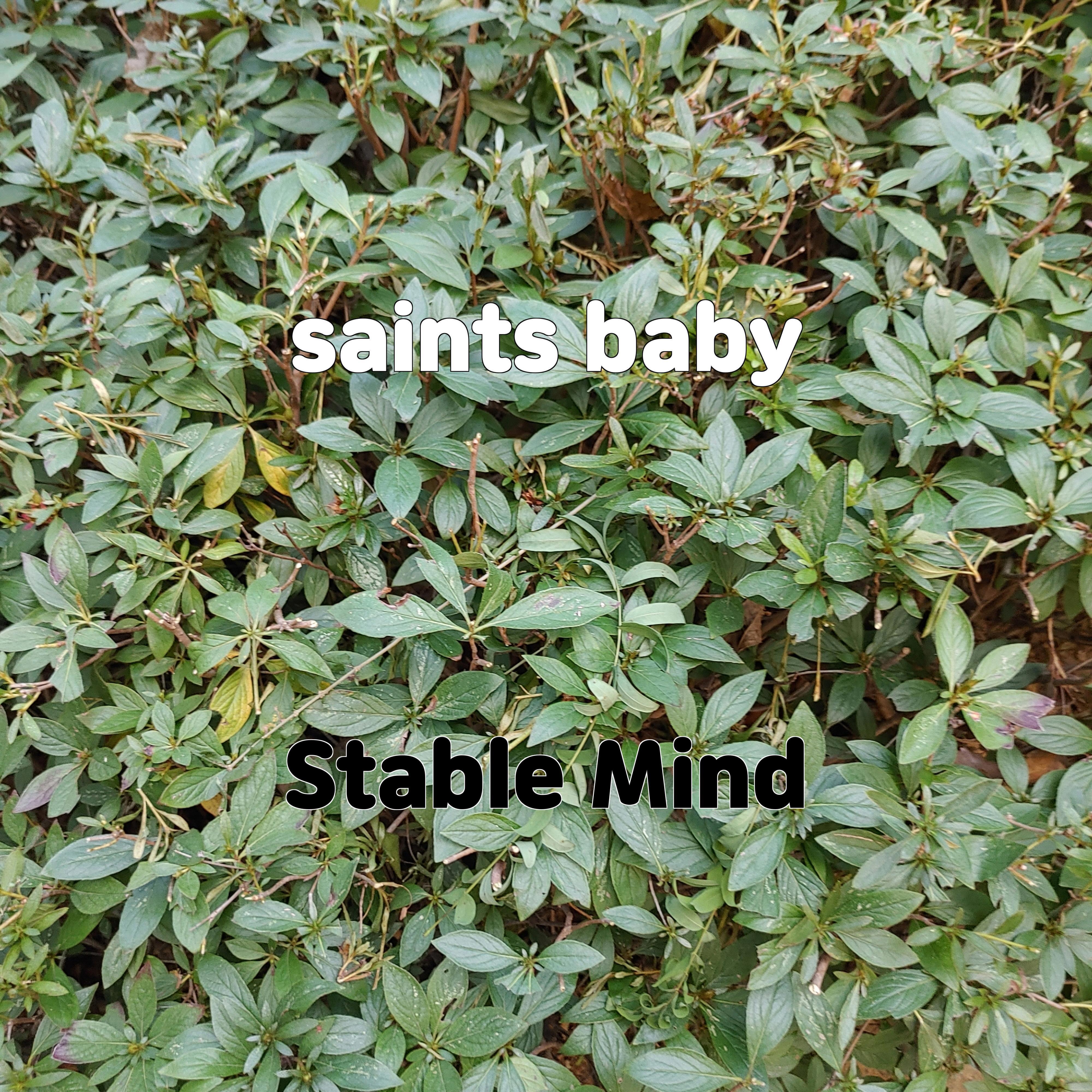 Постер альбома saints baby