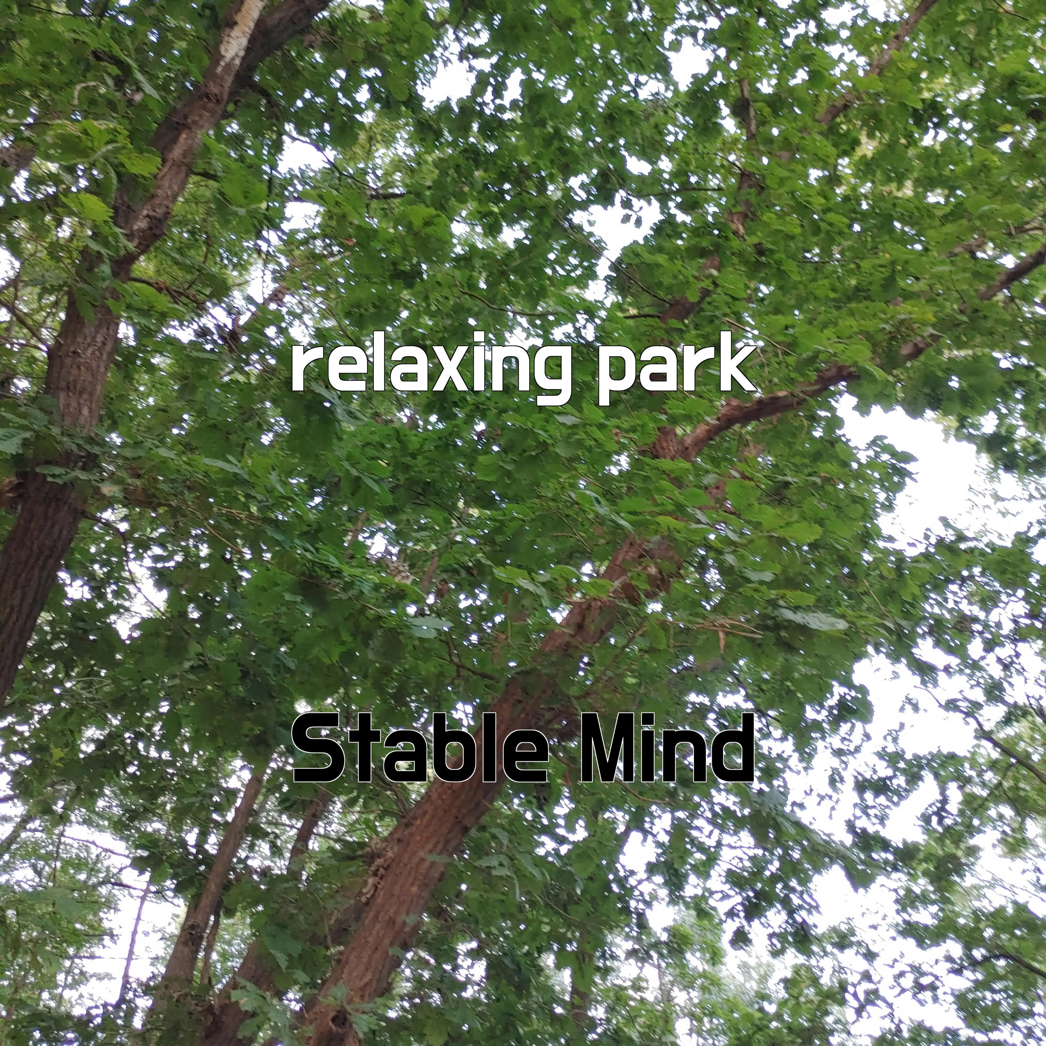 Постер альбома relaxing park