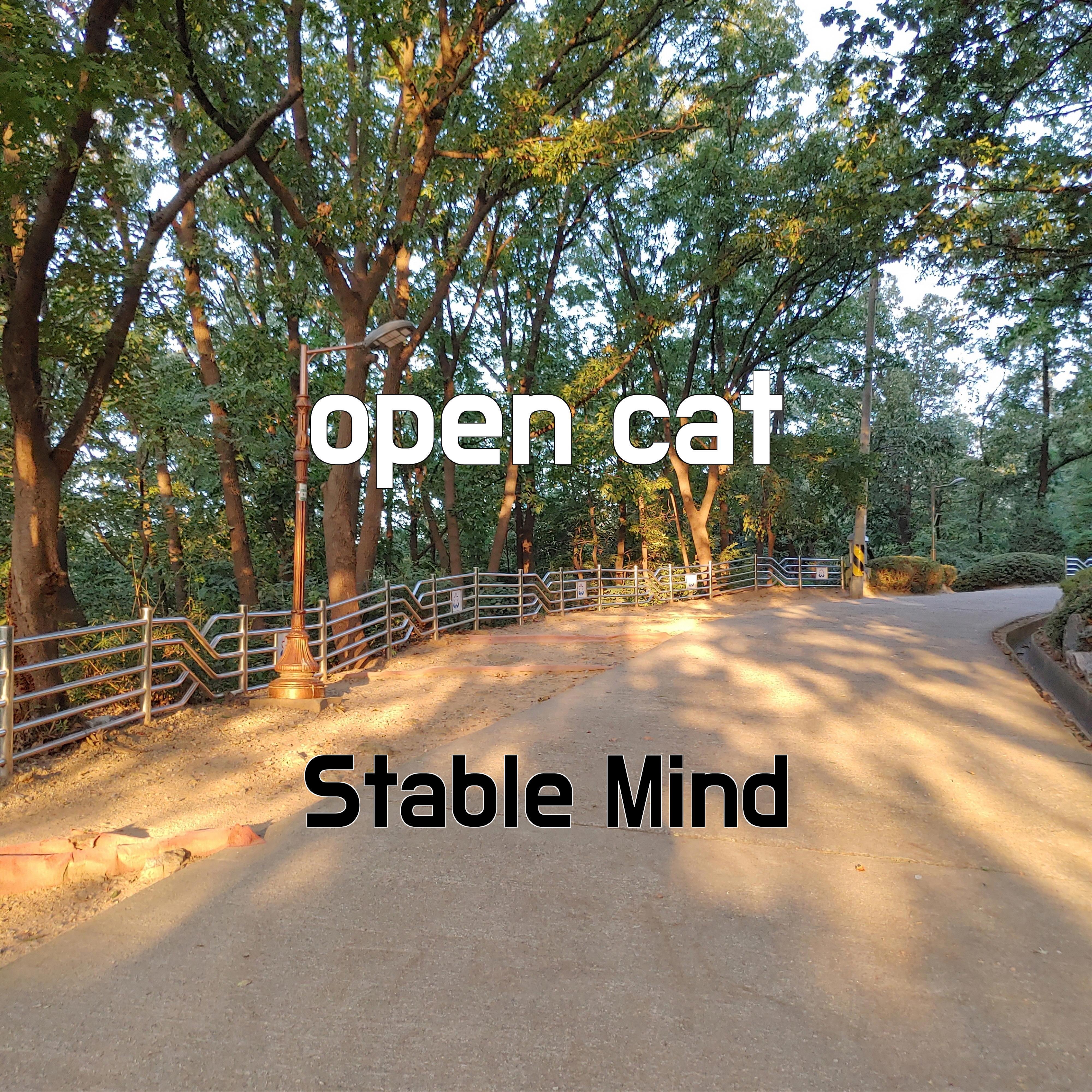 Постер альбома open cat