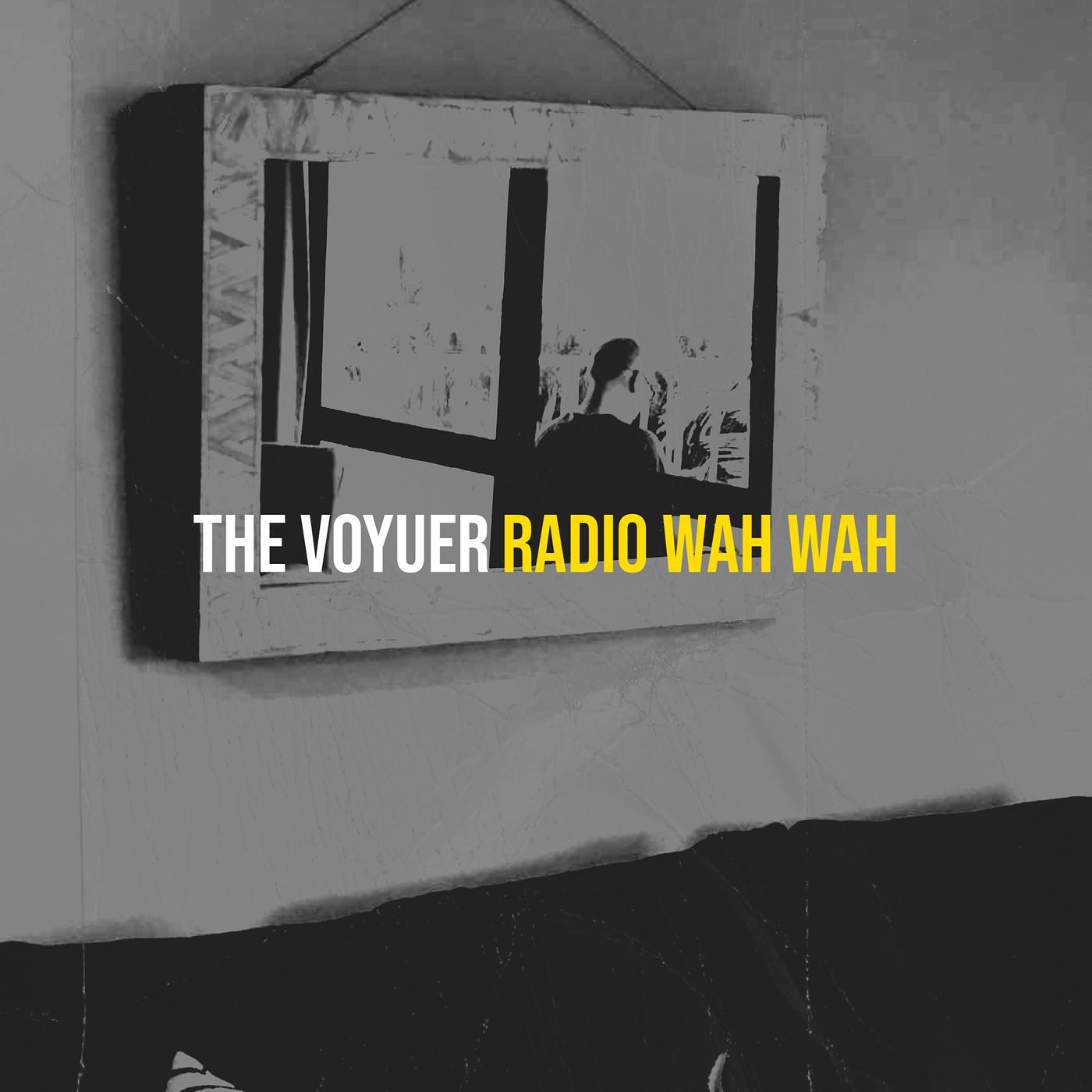 Постер альбома The Voyuer