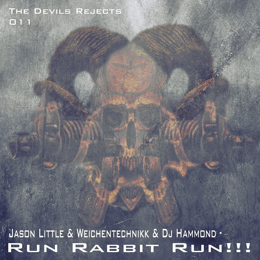 Постер альбома Run Rabbit Run