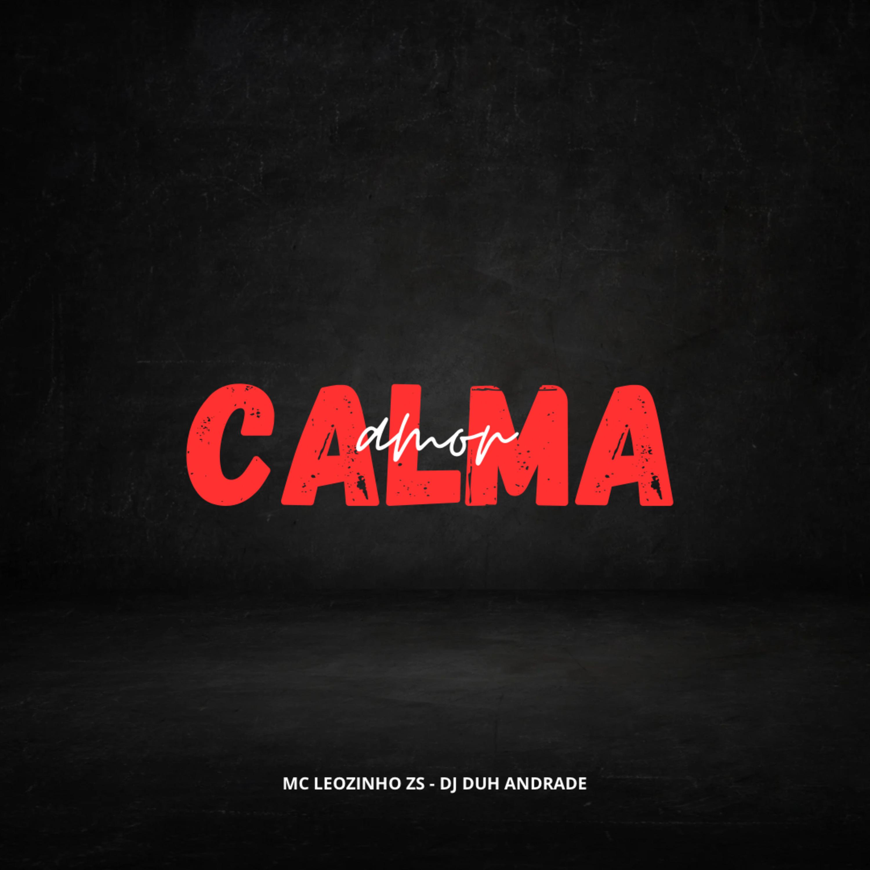 Постер альбома Calma Amor