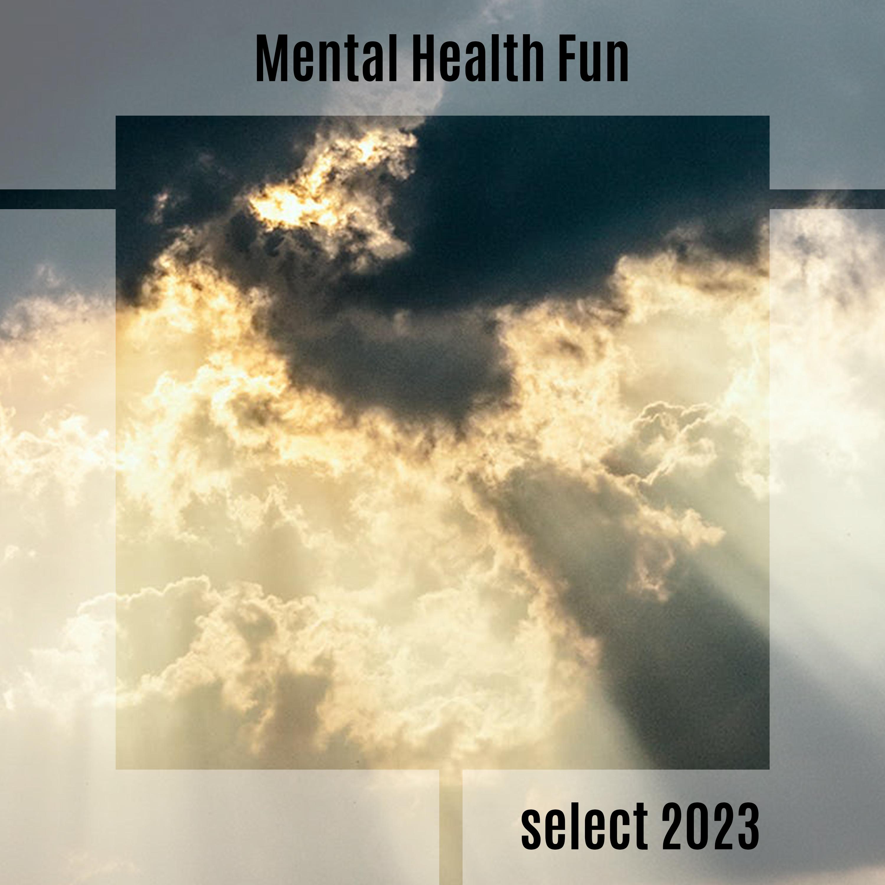 Постер альбома Mental Health Fun Select 2023