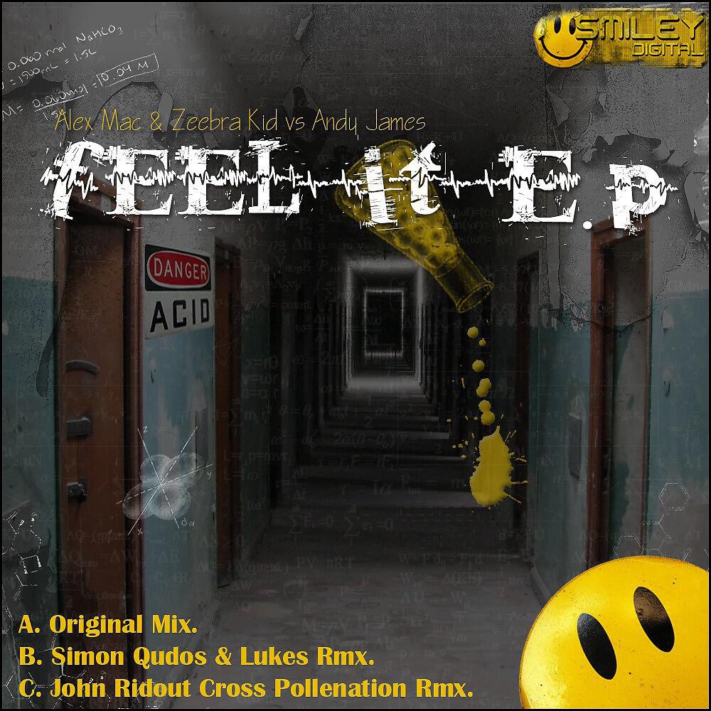 Alex Mac & Zeebra Kid vs Andy James - Feel It E.P (Simon Qudos & Lukes Rmx)
