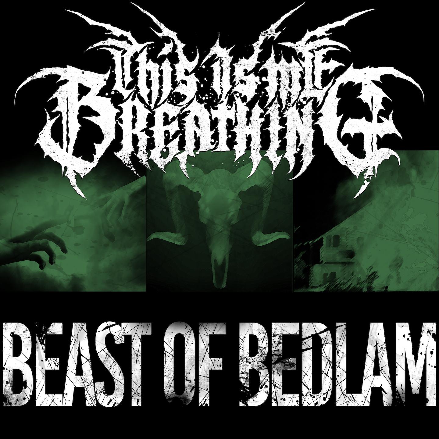 Постер альбома Beast of Bedlam