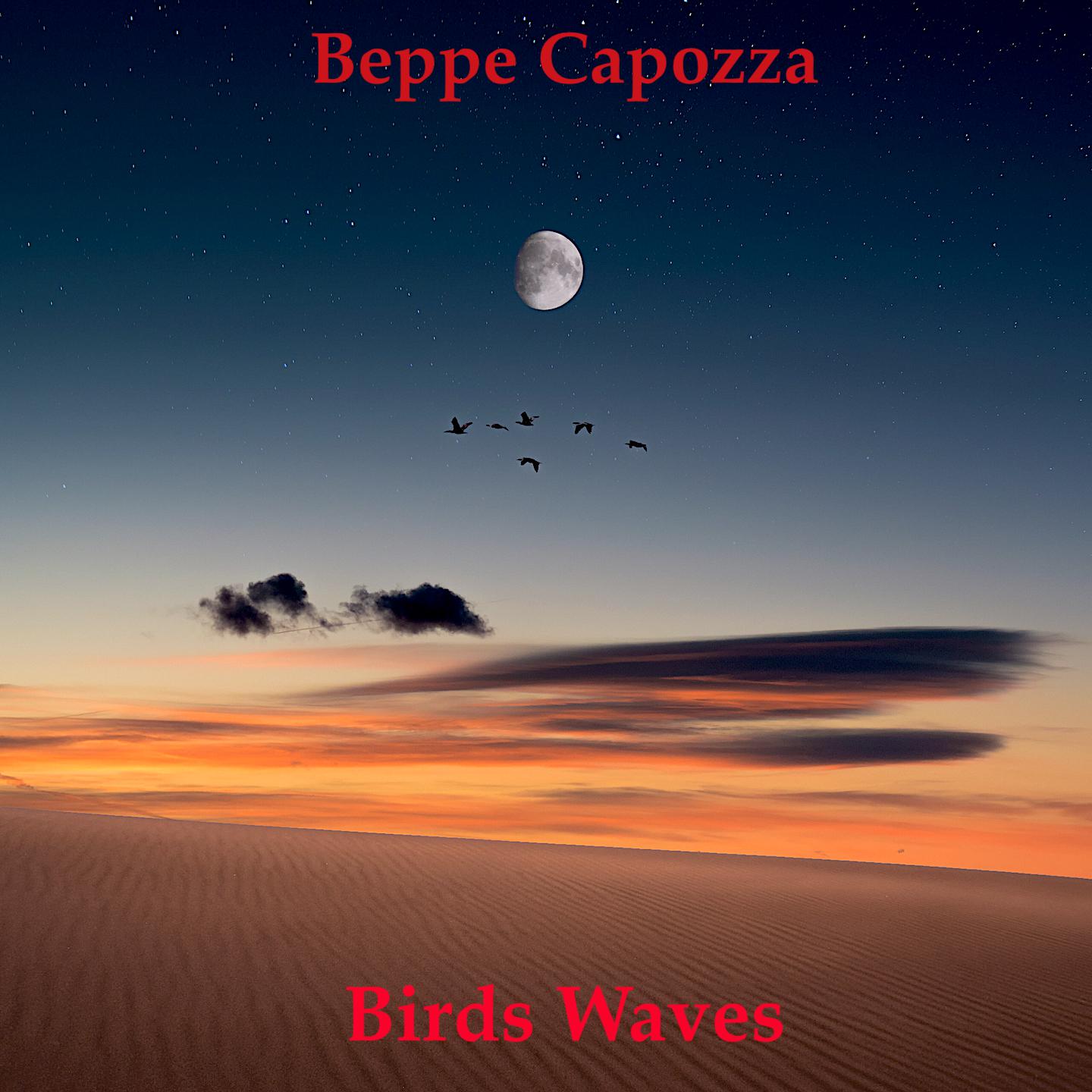 Постер альбома Birds Waves
