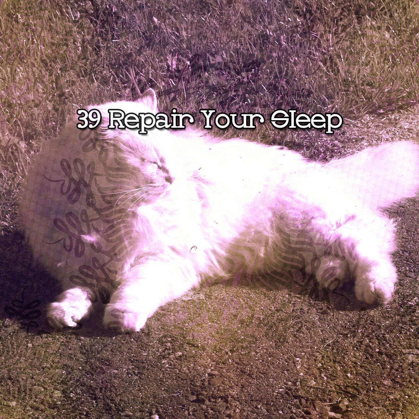 Постер альбома 39 Repair Your Sleep