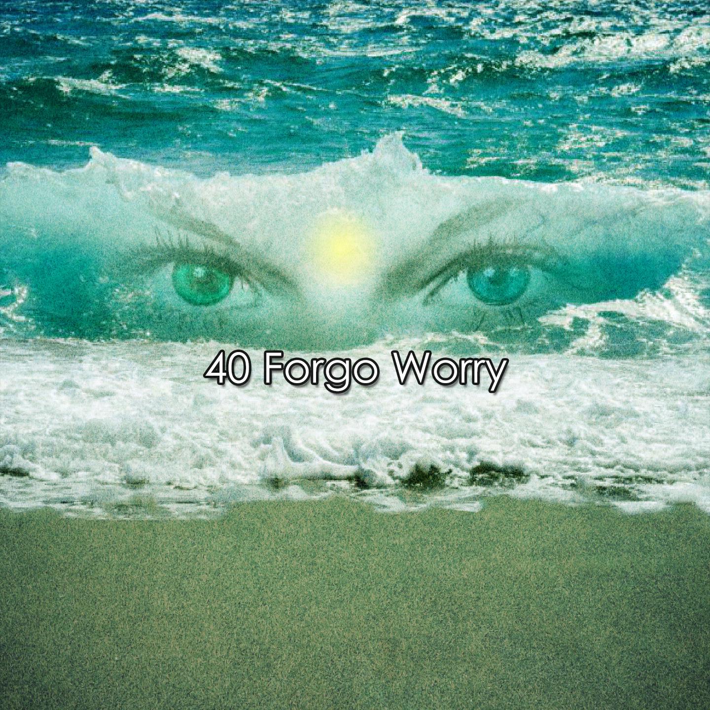 Постер альбома 40 Forgo Worry